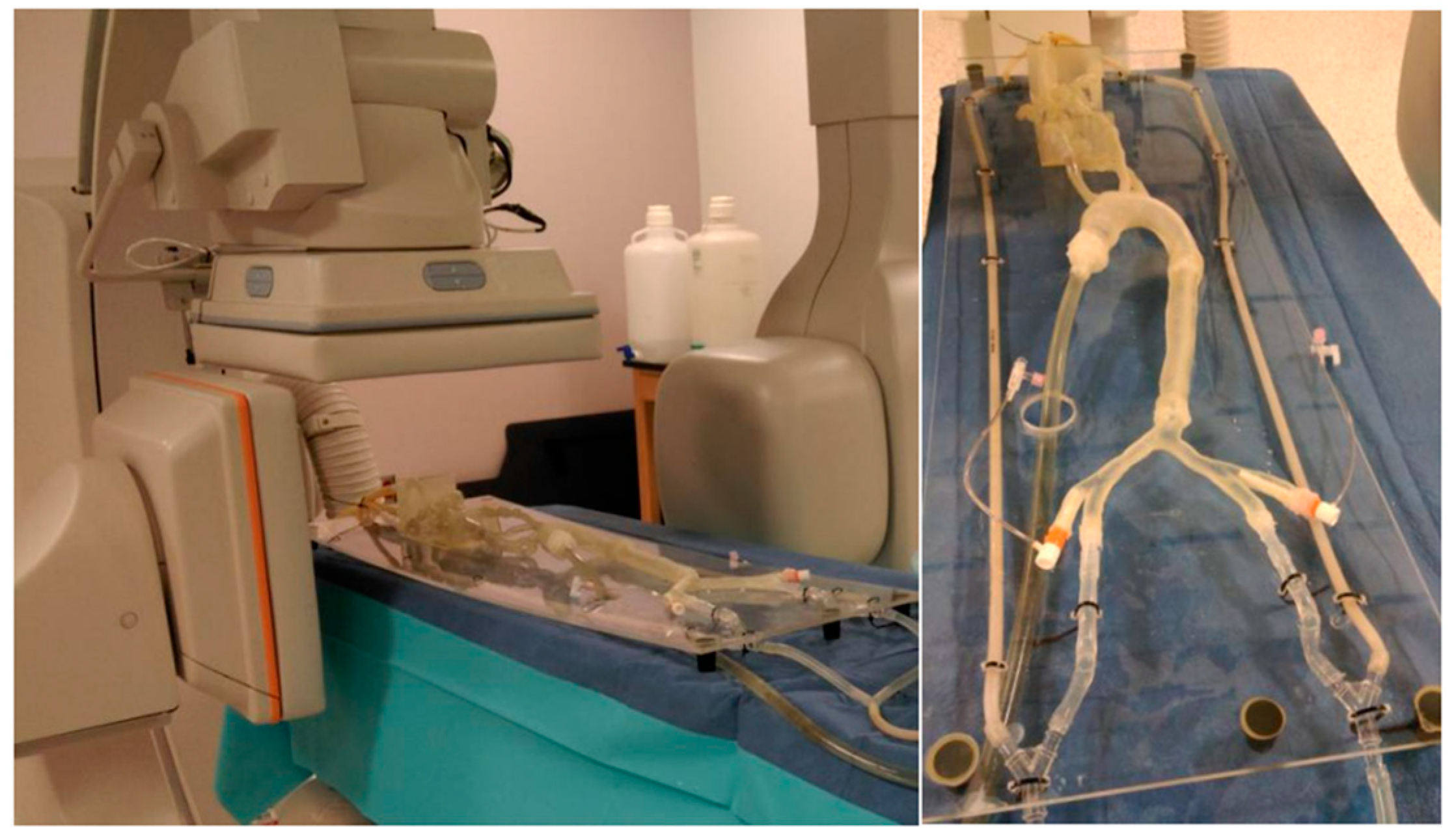 Fluids 10 00166 g005