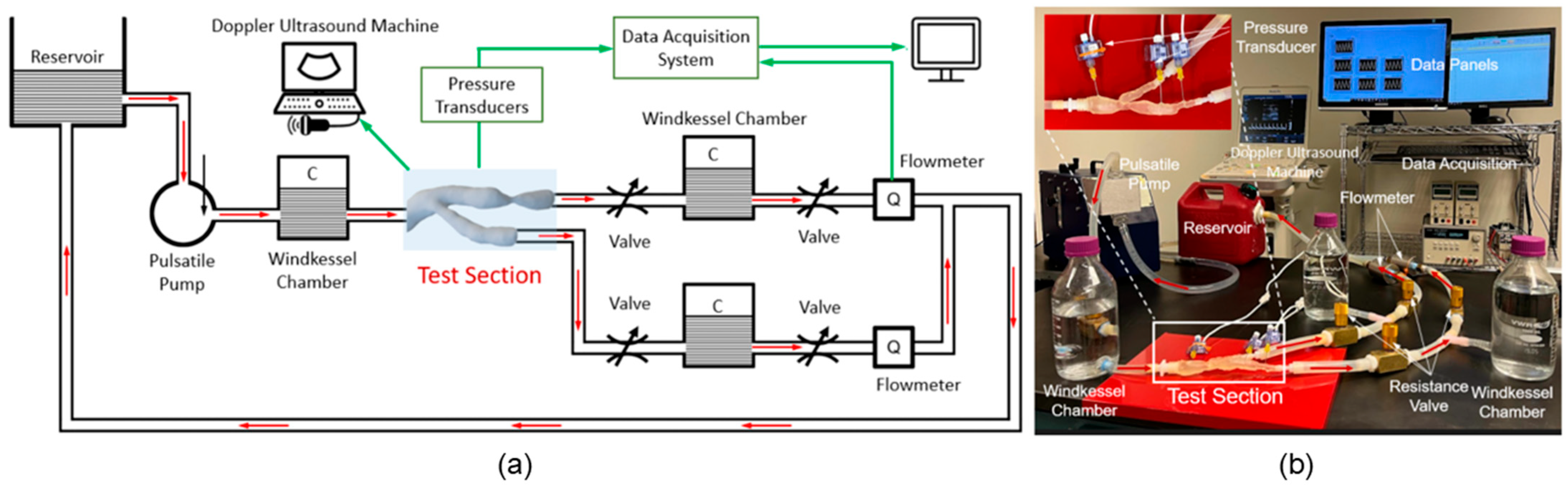 Fluids 10 00166 g007