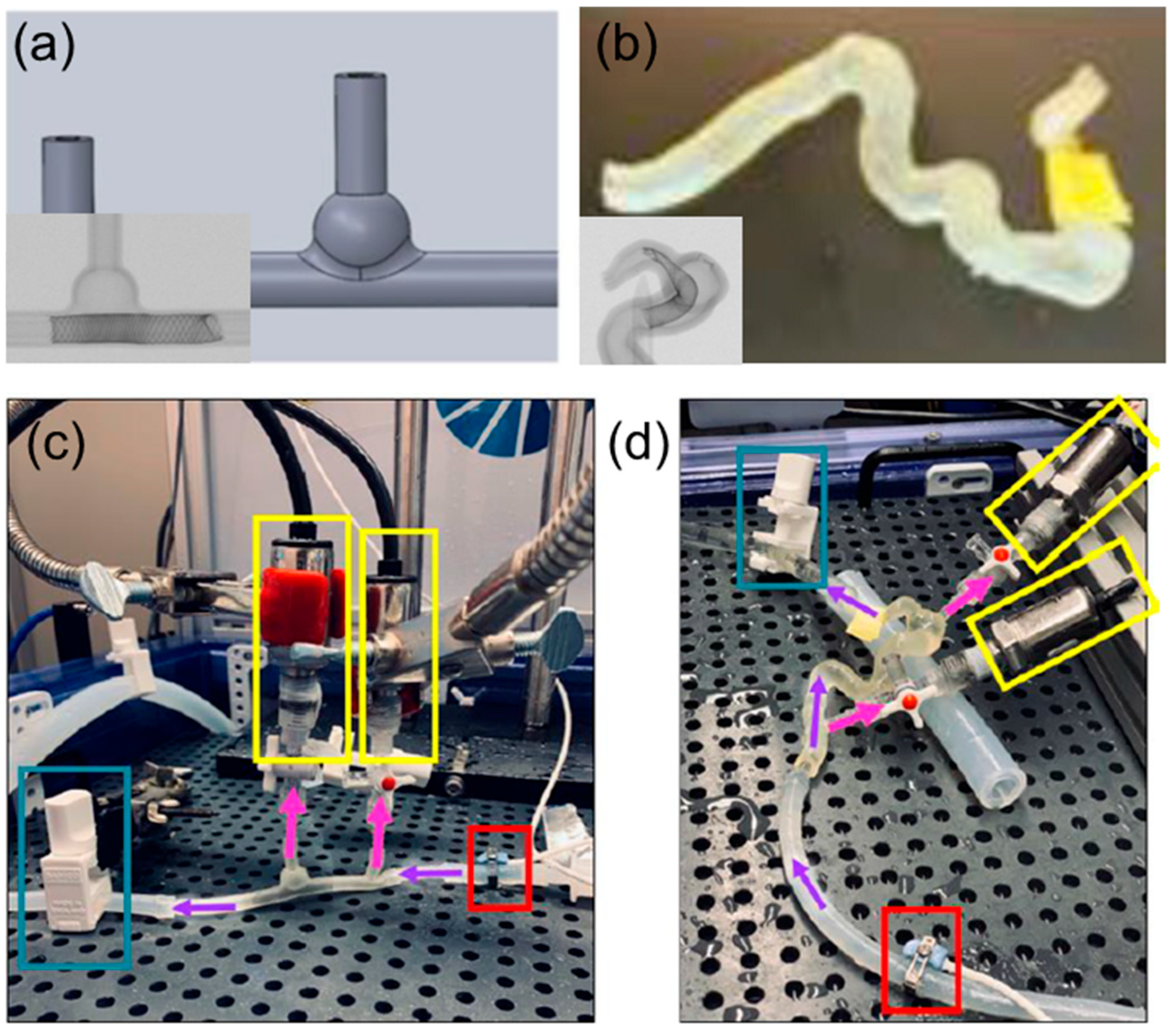 Fluids 10 00166 g008