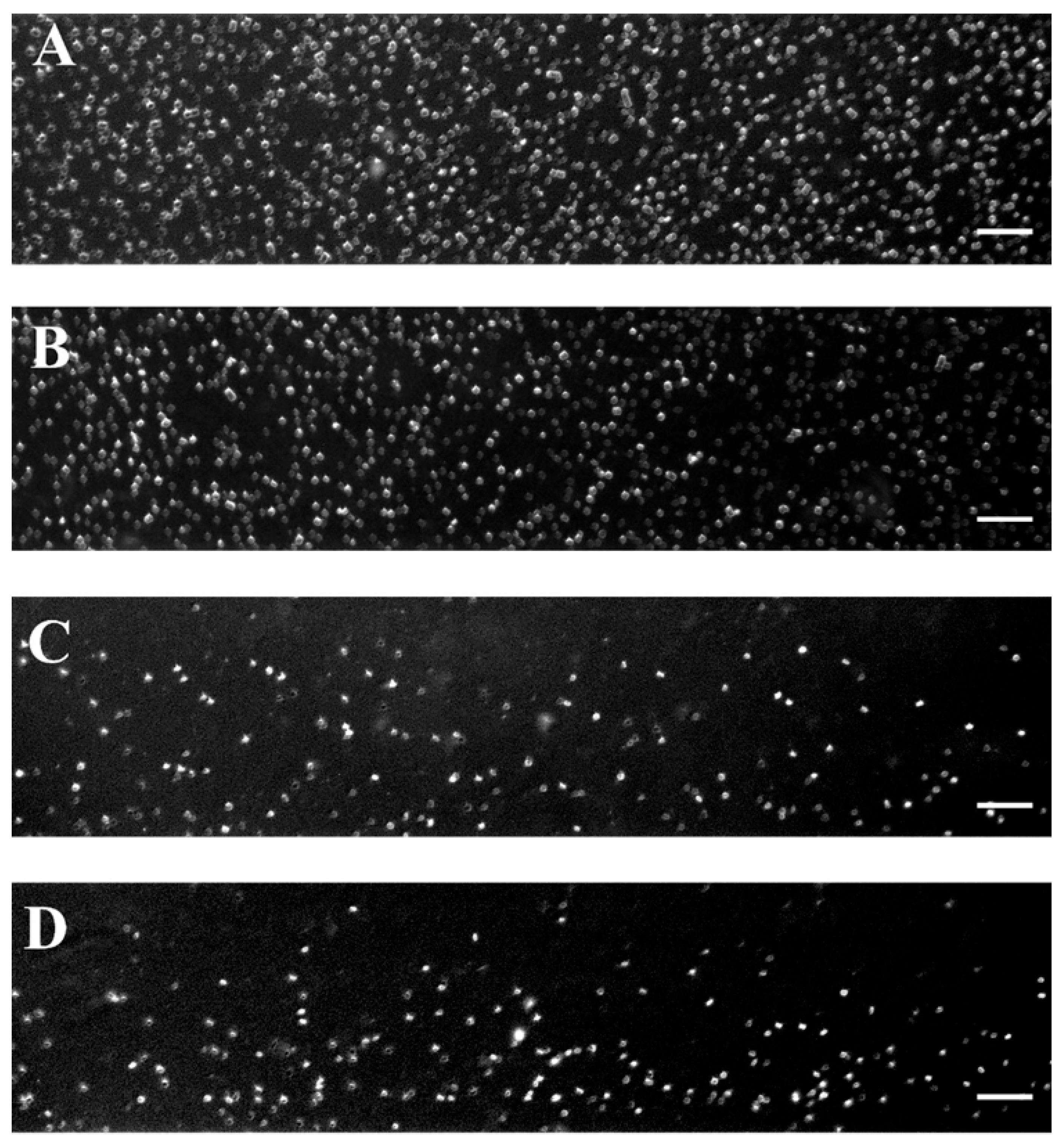 Fluids 10 00167 g002