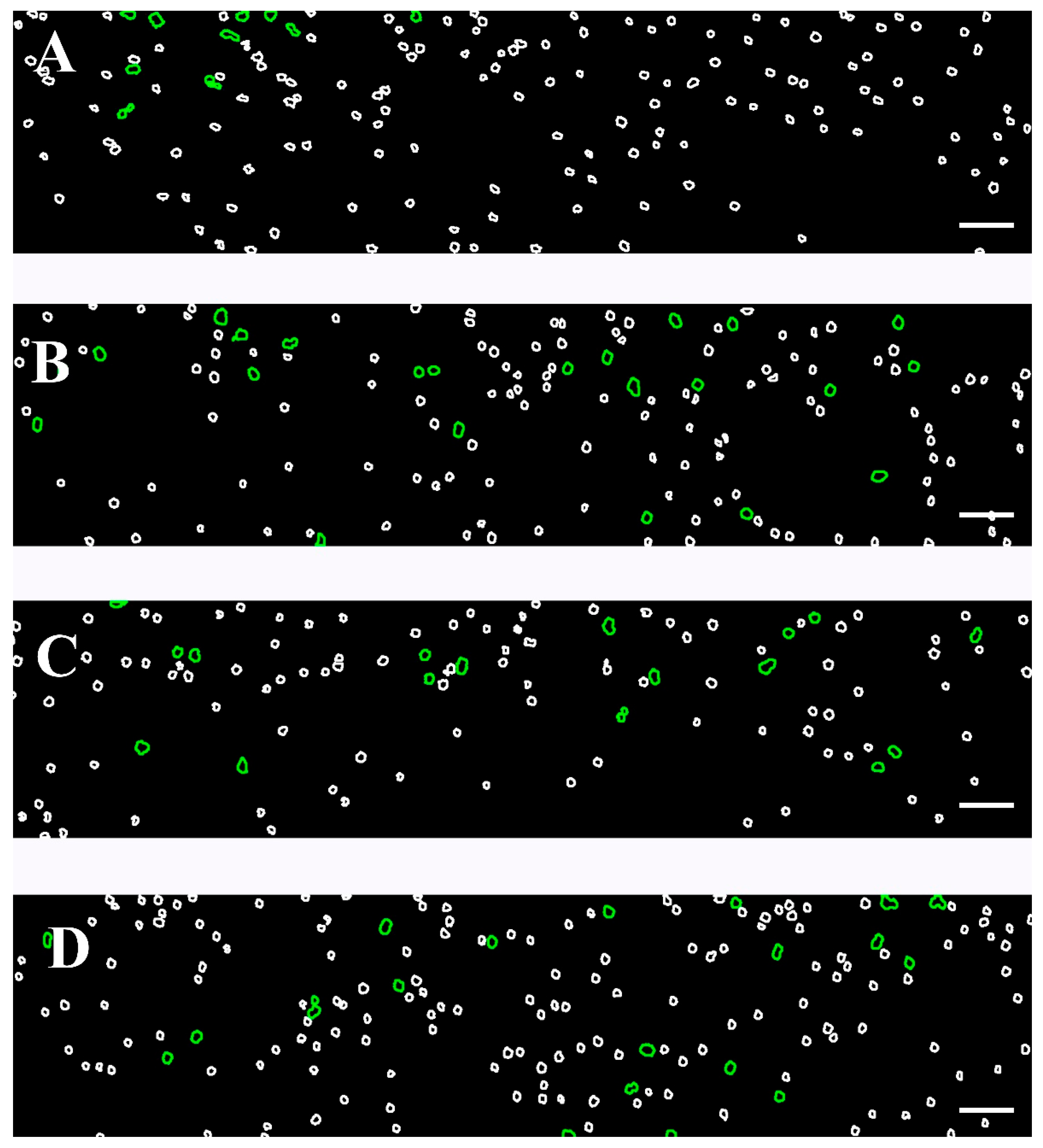 Fluids 10 00167 g007