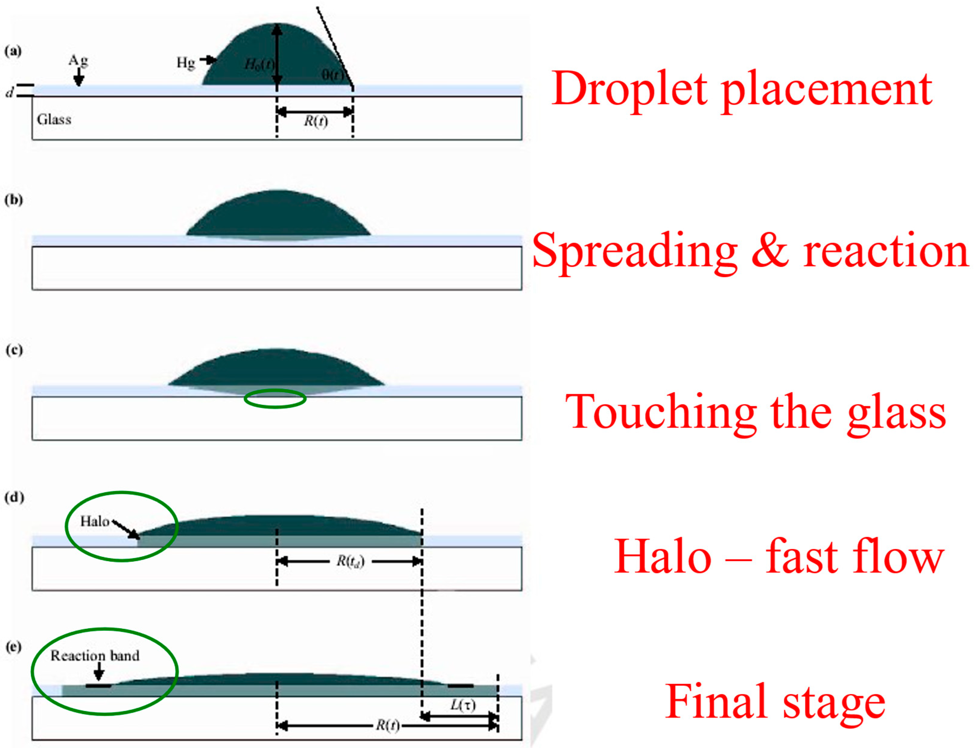 Fluids 10 00170 g005