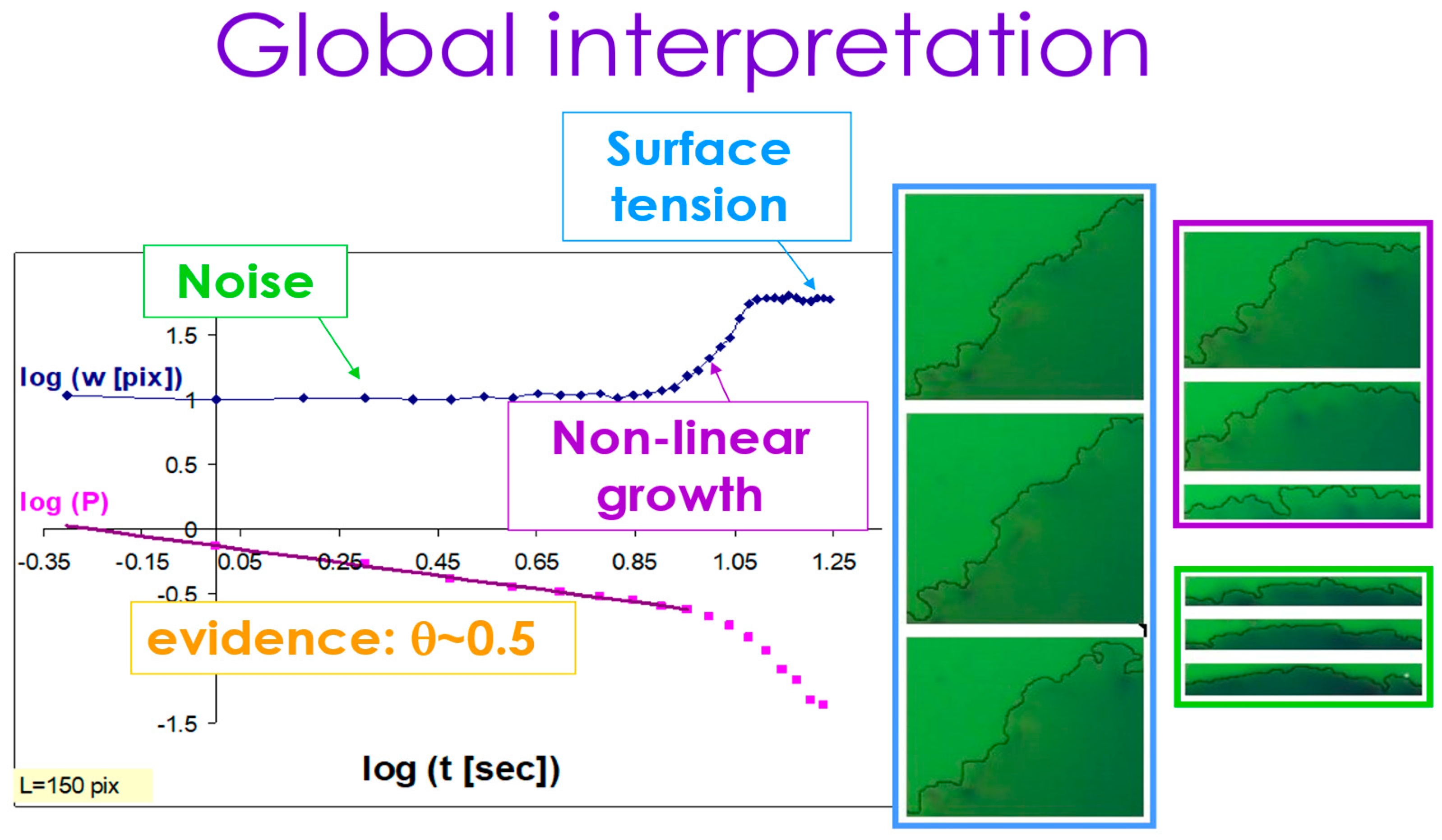 Fluids 10 00170 g011