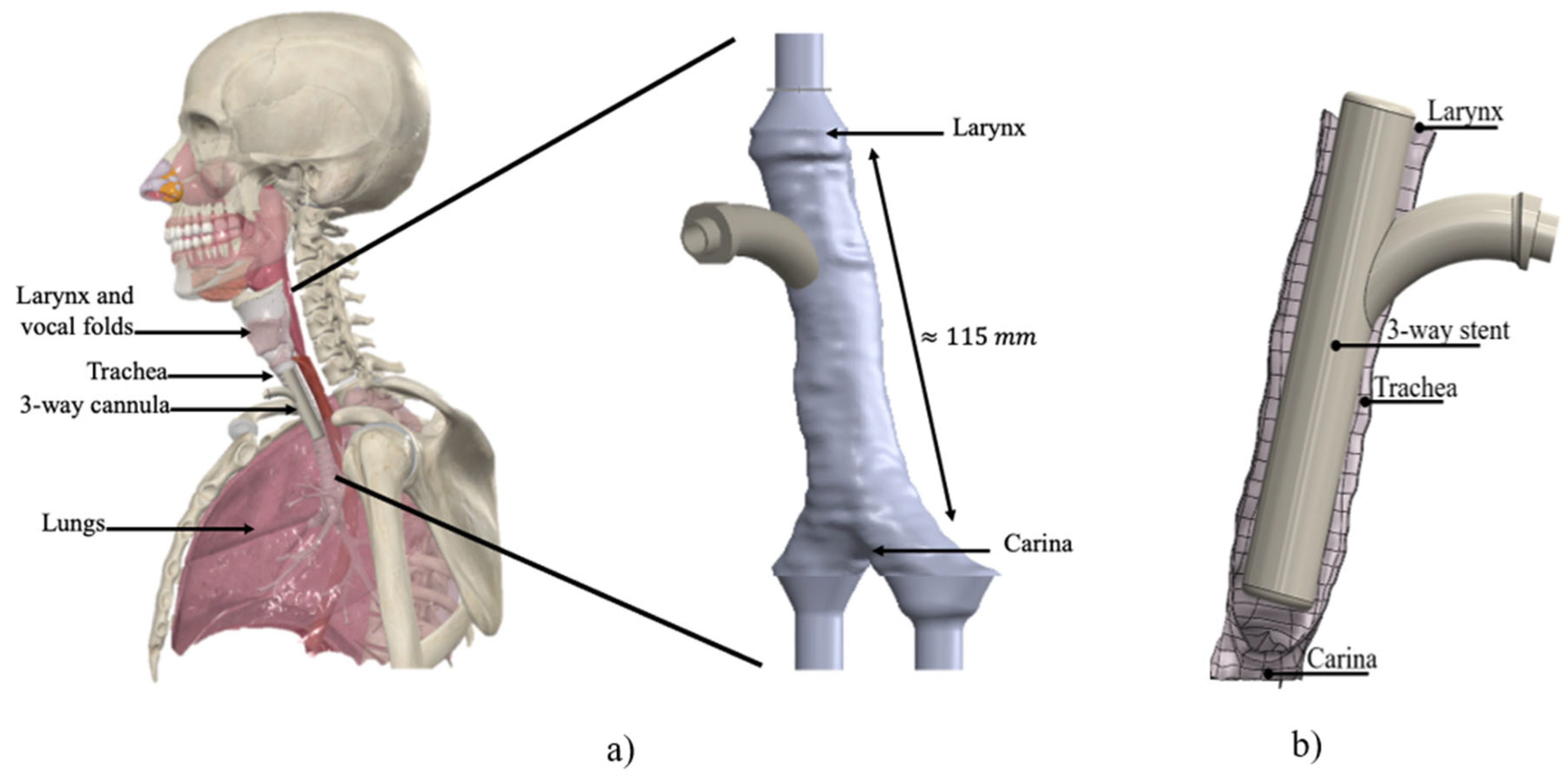 Fluids 10 00186 g001