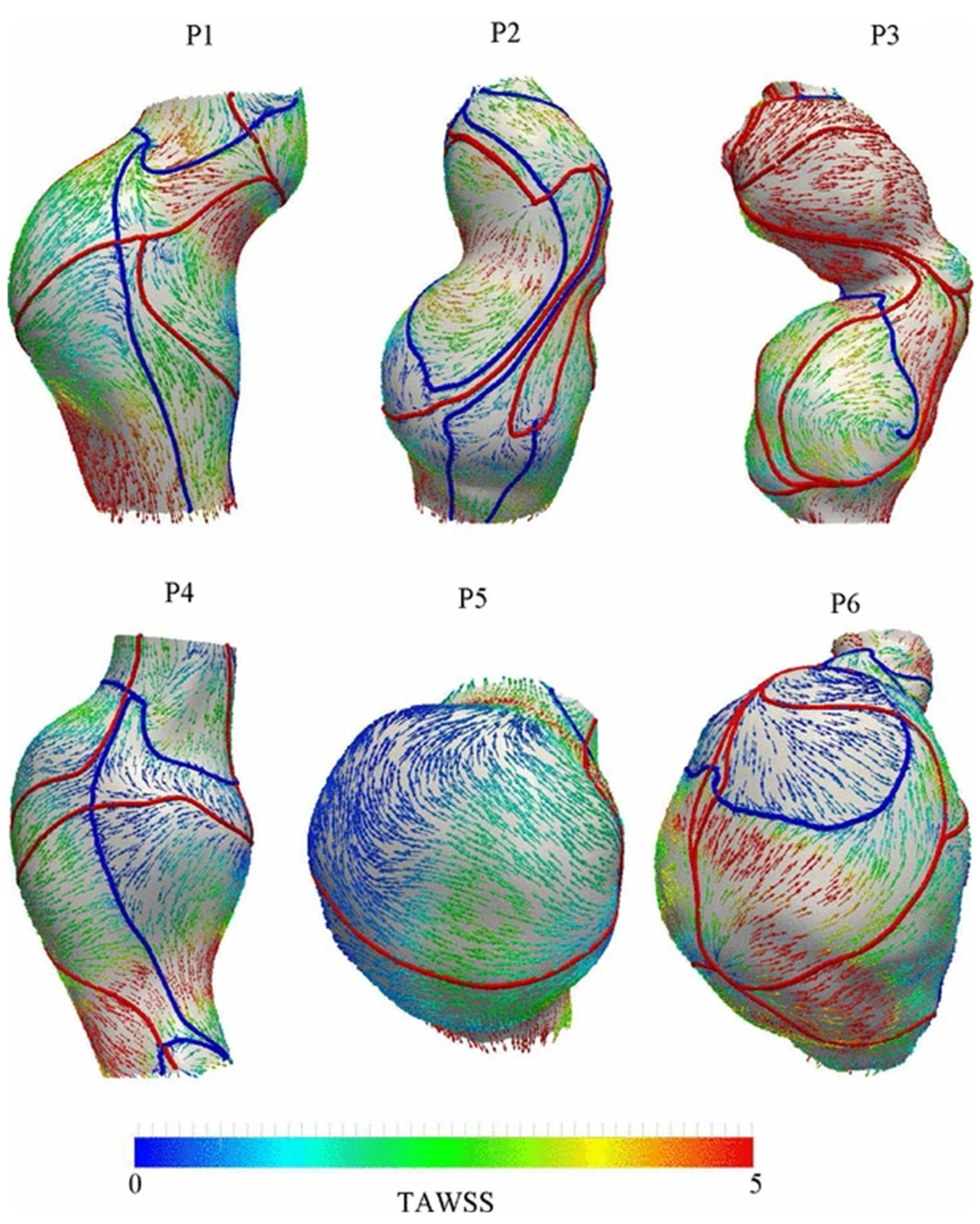 Fluids 10 00191 g002