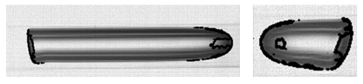 Fluids 10 00196 g002