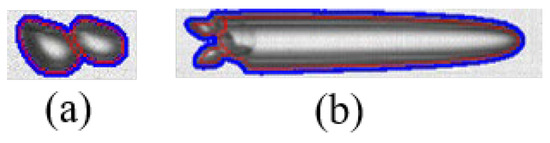 Fluids 10 00196 g013