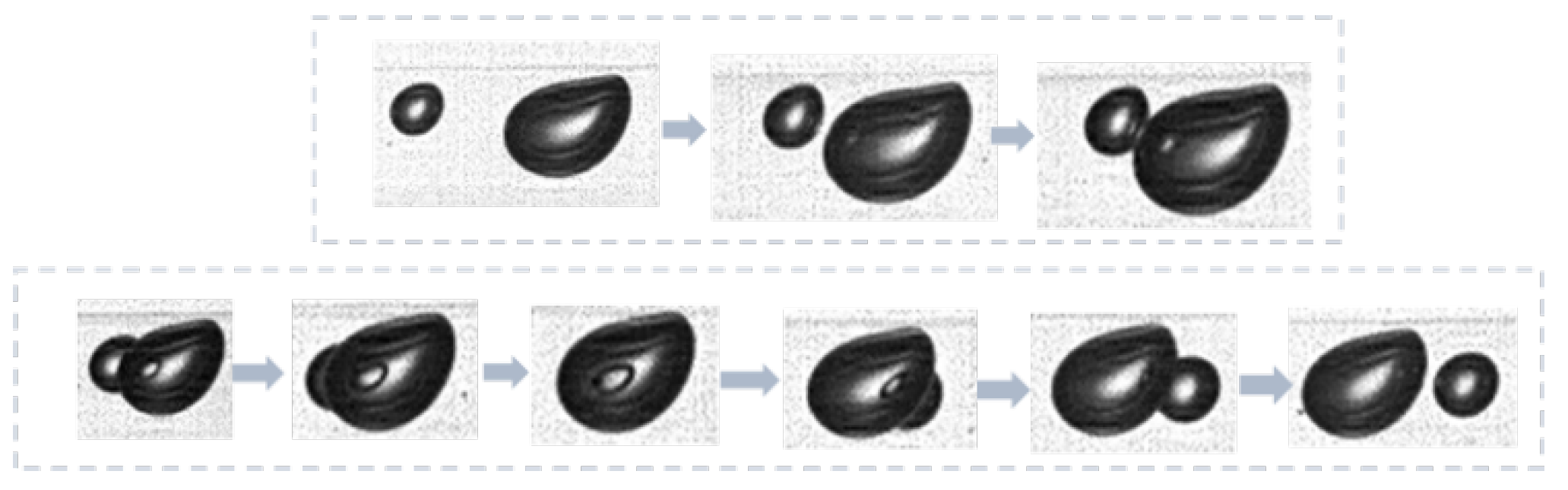 Fluids 10 00196 g021