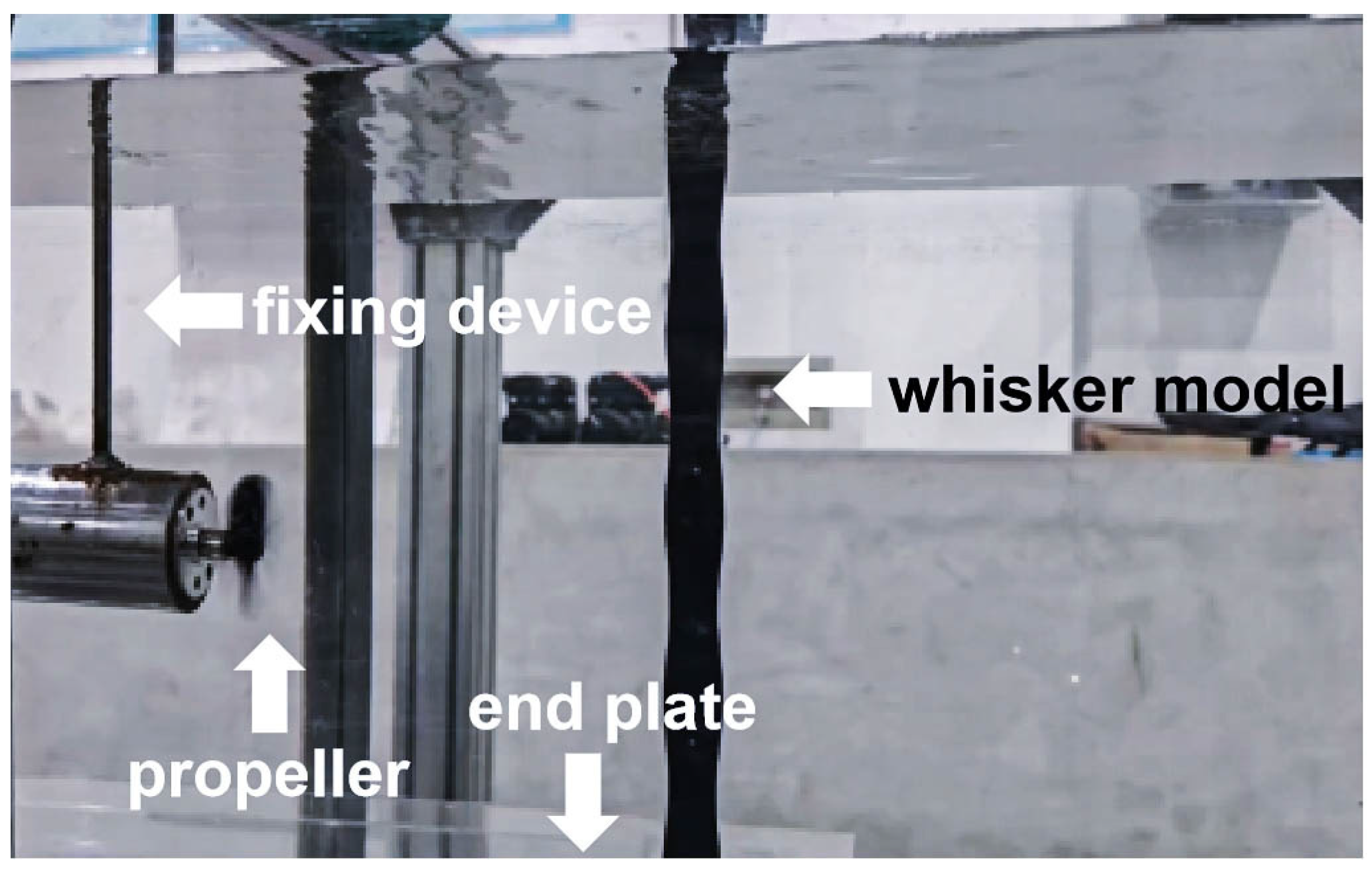 Fluids 10 00232 g001a Fluids 10 00232 g001a