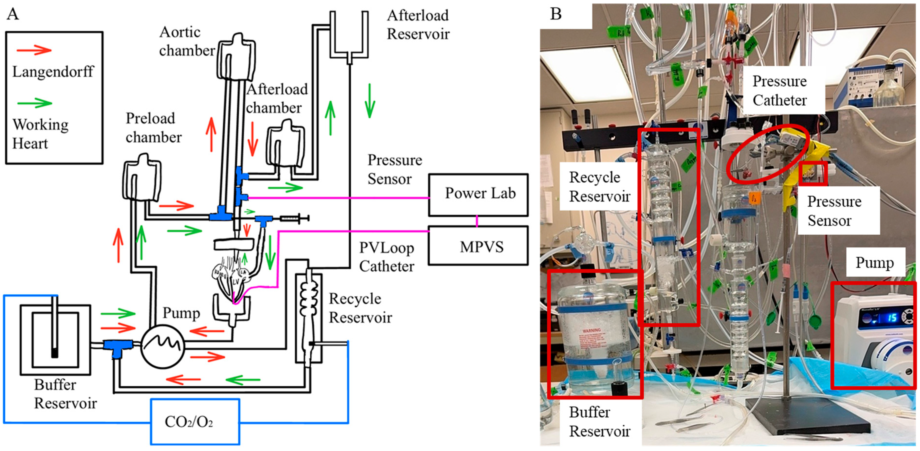 Fluids 10 00234 g002 Fluids 10 00234 g002