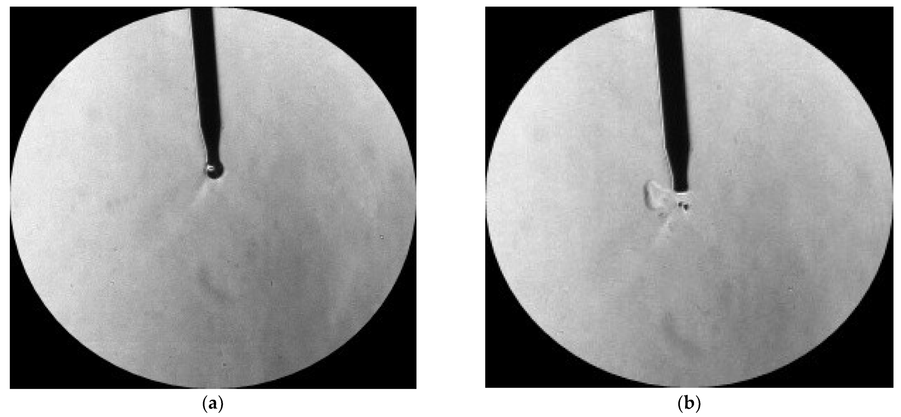 Fluids 10 00243 g007a