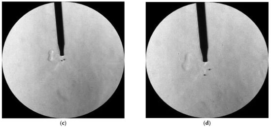 Fluids 10 00243 g007b