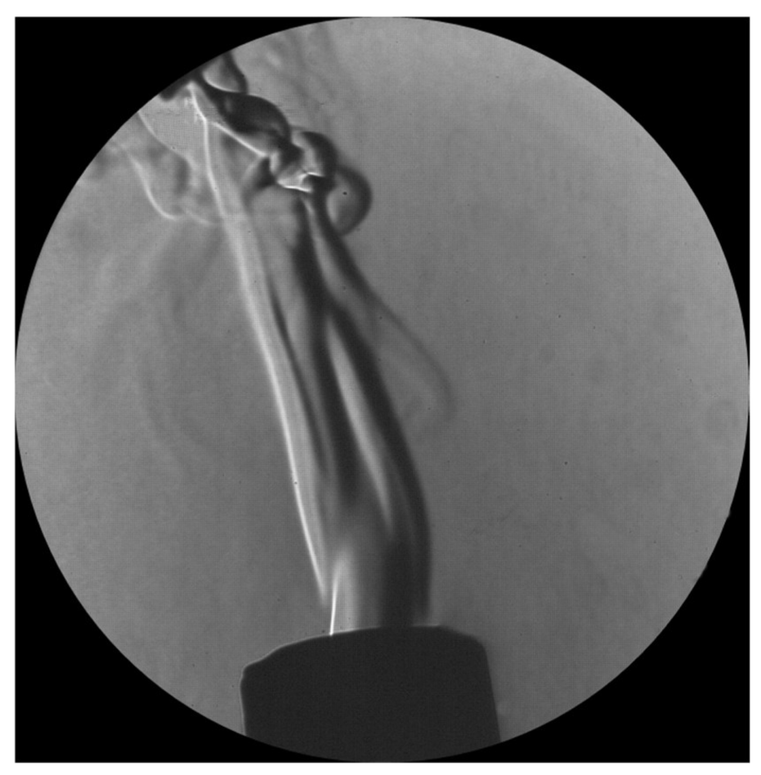 Fluids 10 00243 g009