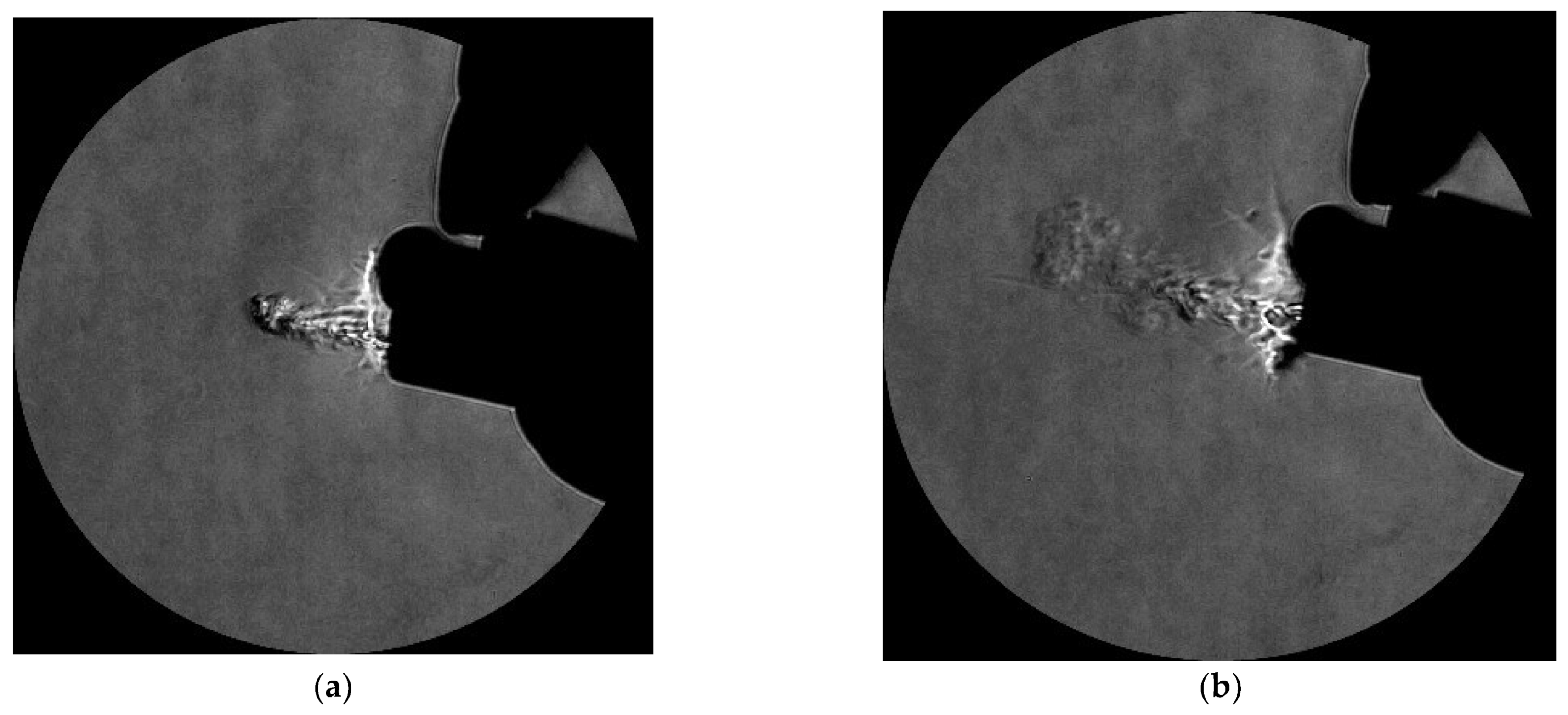 Fluids 10 00243 g010