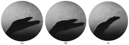 Fluids 10 00243 g011