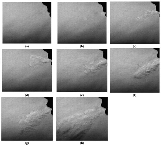 Fluids 10 00243 g012