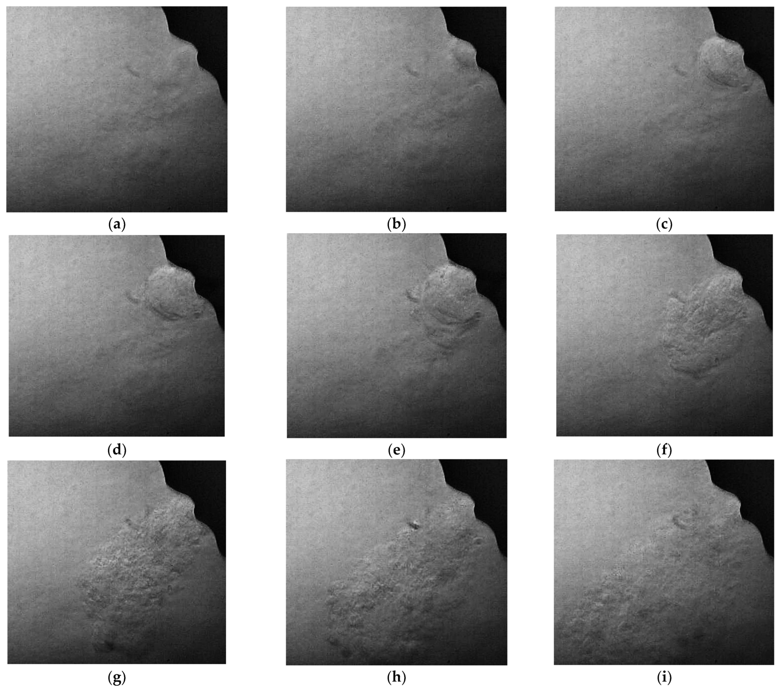 Fluids 10 00243 g013