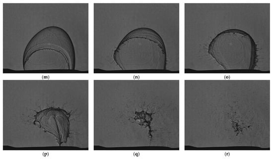 Fluids 10 00243 g019b