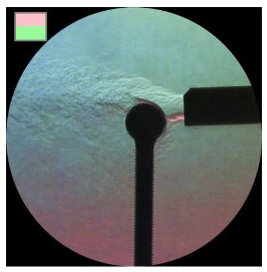 Fluids 10 00243 g028