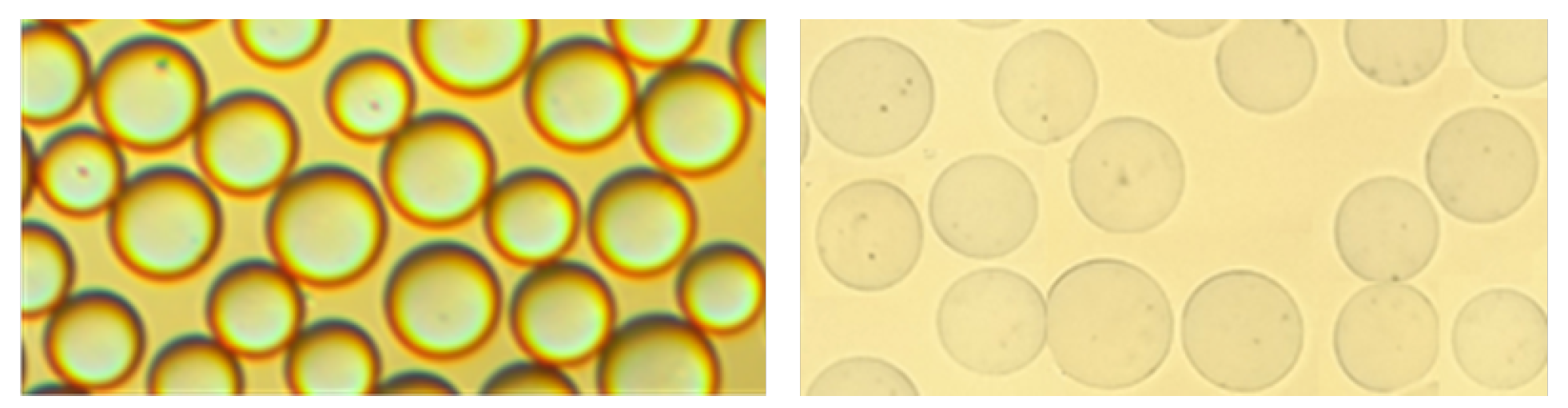 Fluids 10 00272 g001 Fluids 10 00272 g001