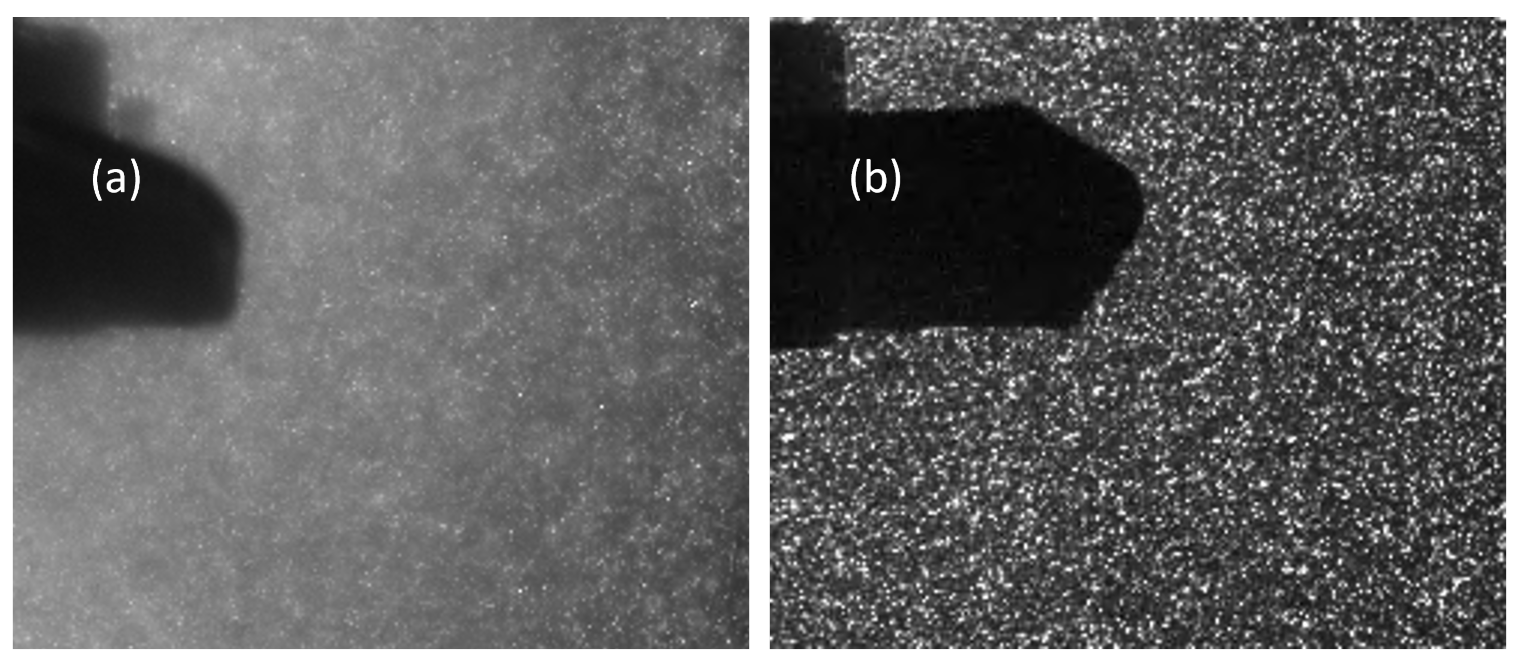 Fluids 10 00272 g005 Fluids 10 00272 g005