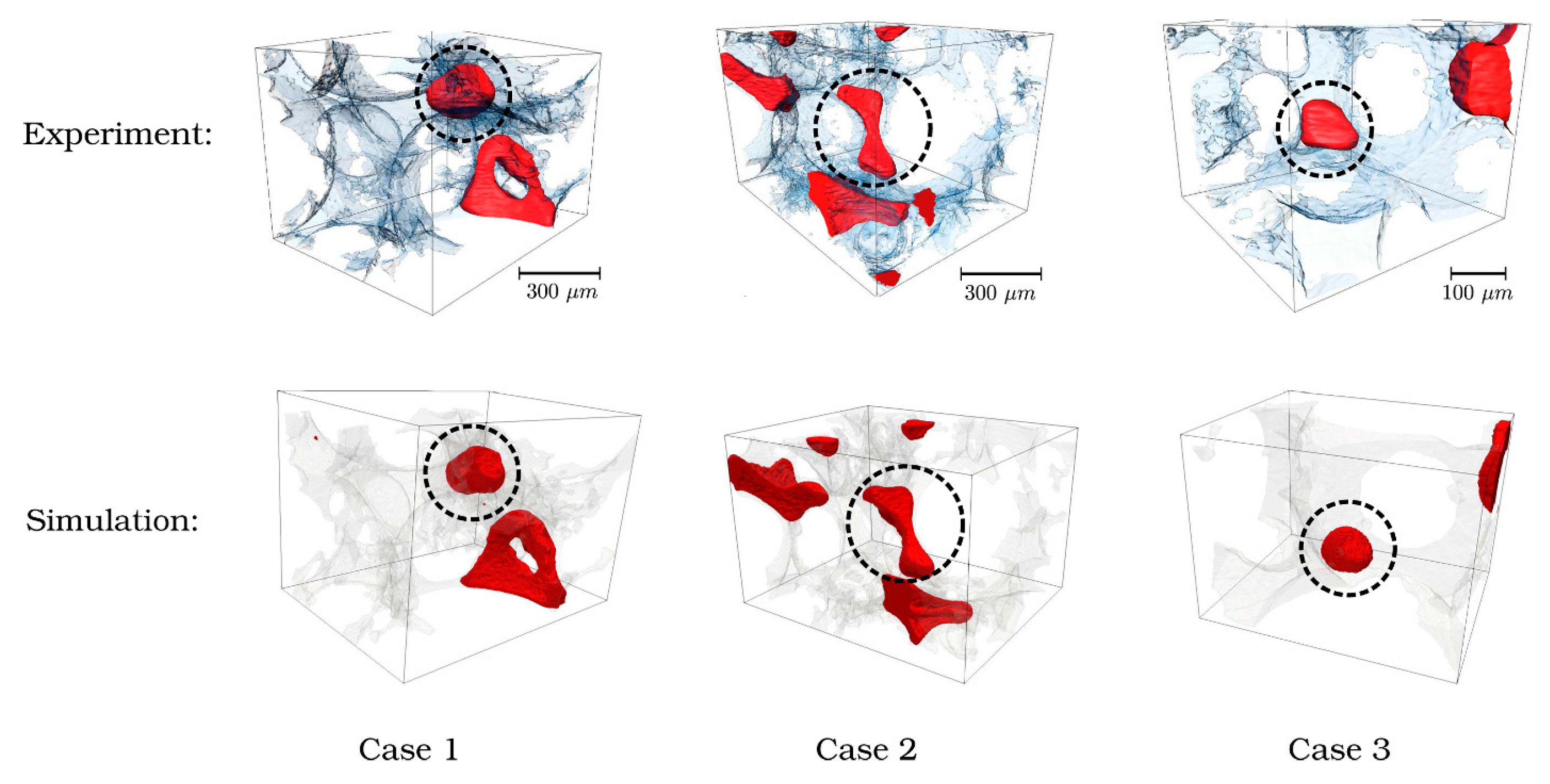Fluids 10 00286 g015 Fluids 10 00286 g015