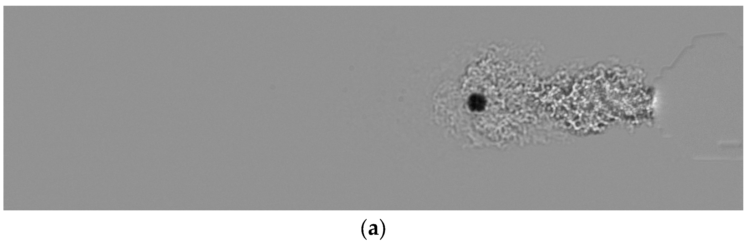 Fluids 10 00298 g008a Fluids 10 00298 g008a