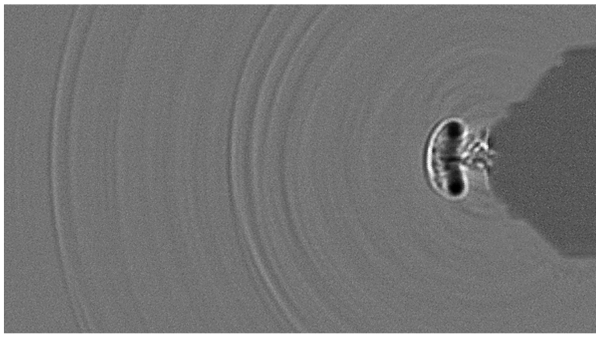 Fluids 10 00298 g010 Fluids 10 00298 g010