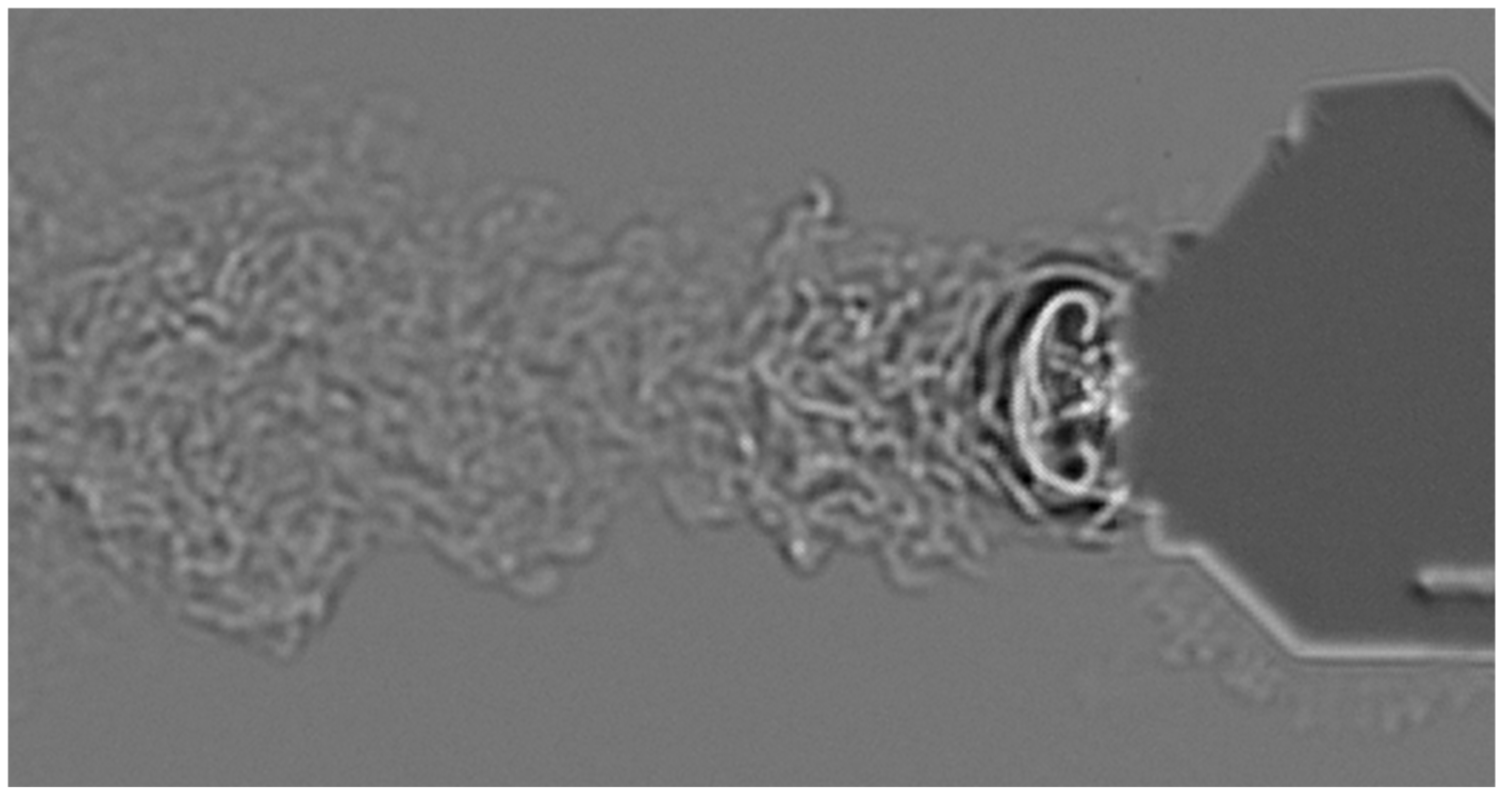 Fluids 10 00298 g013 Fluids 10 00298 g013