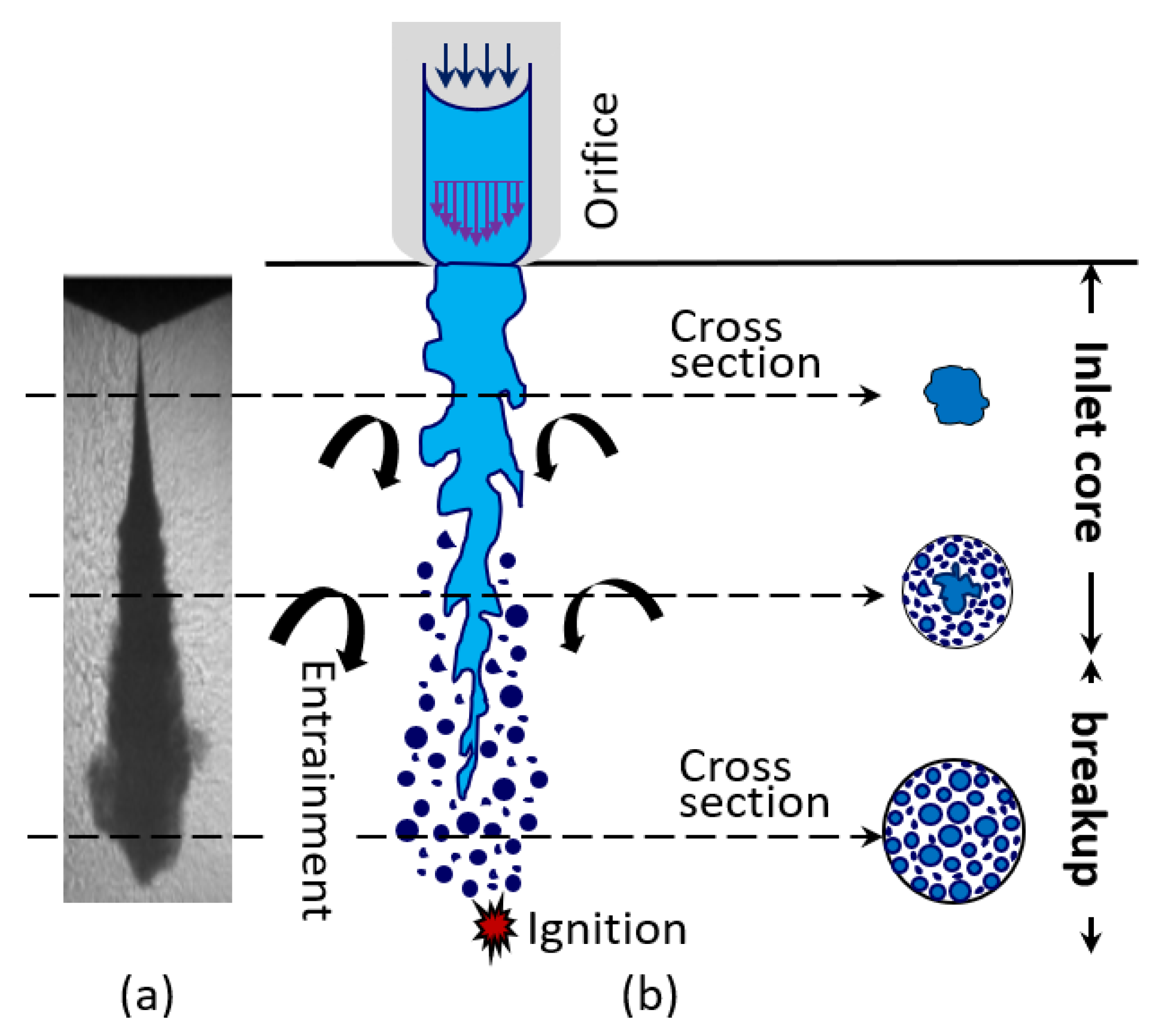 Fluids 10 00302 g011