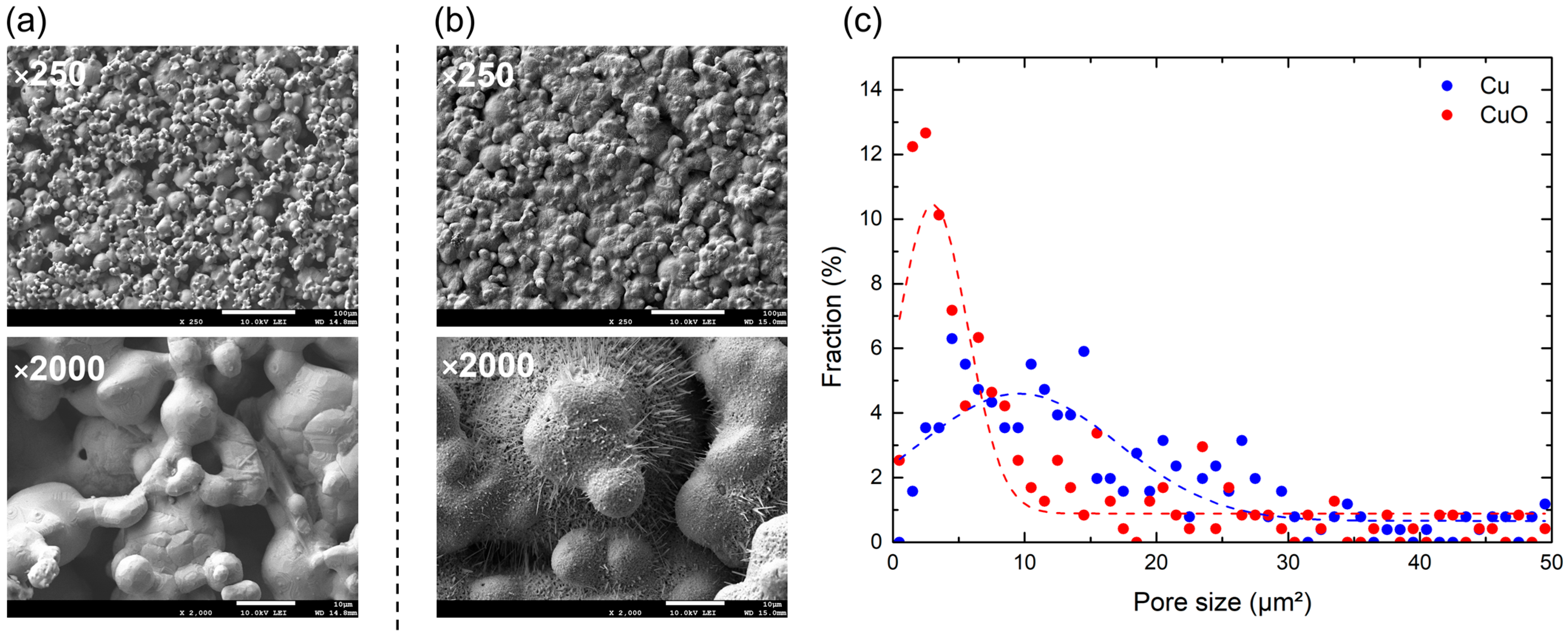 Fluids 10 00303 g007
