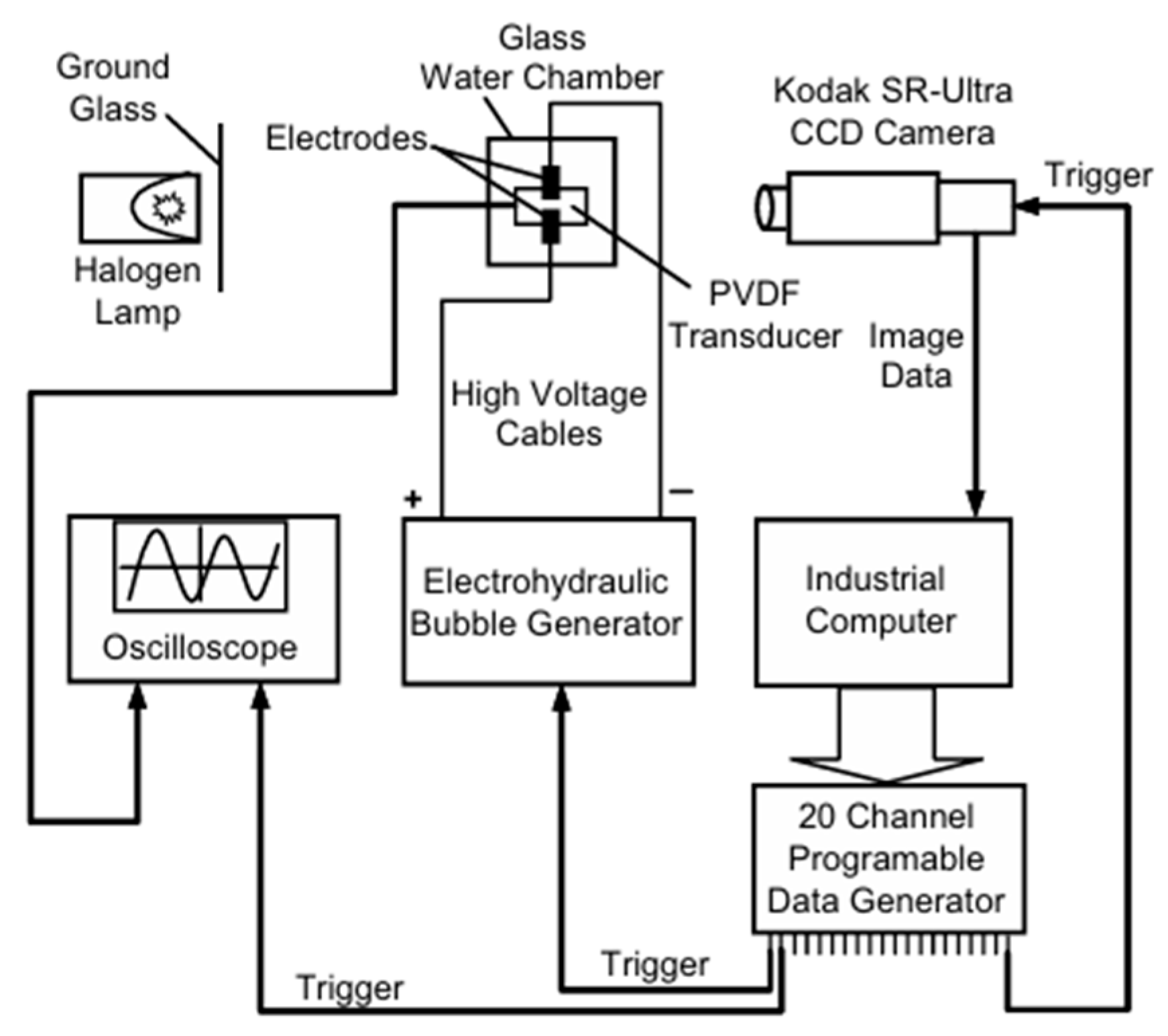 Fluids 11 00014 g002