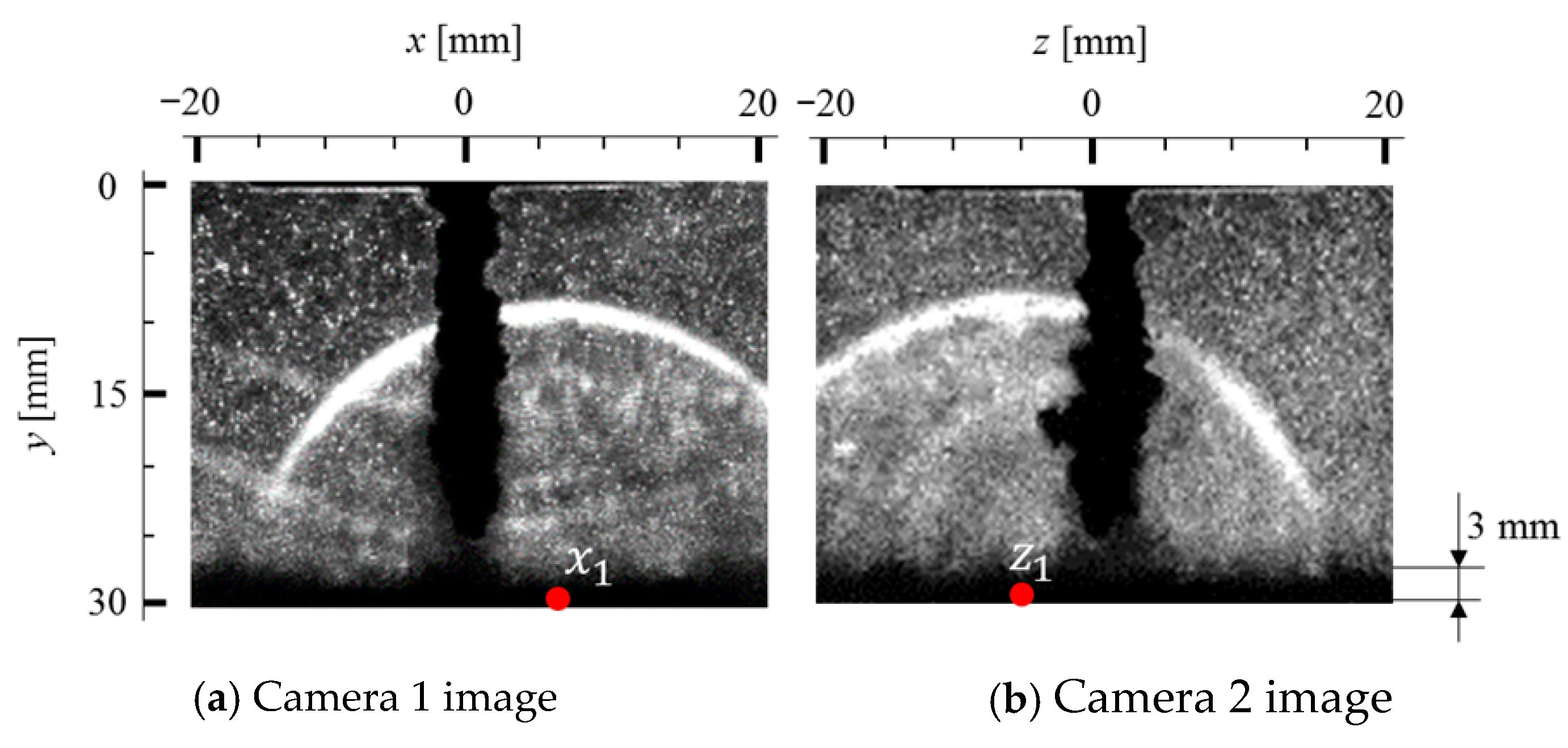 Fluids 11 00014 g006