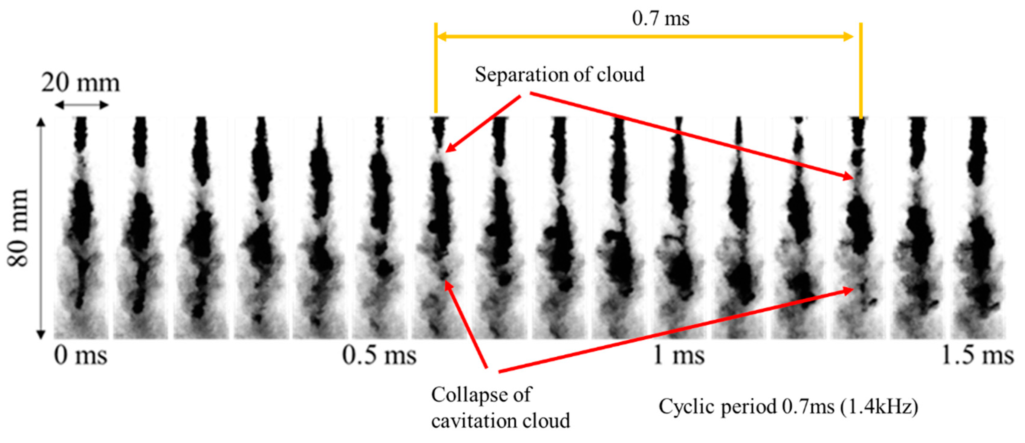 Fluids 11 00014 g010