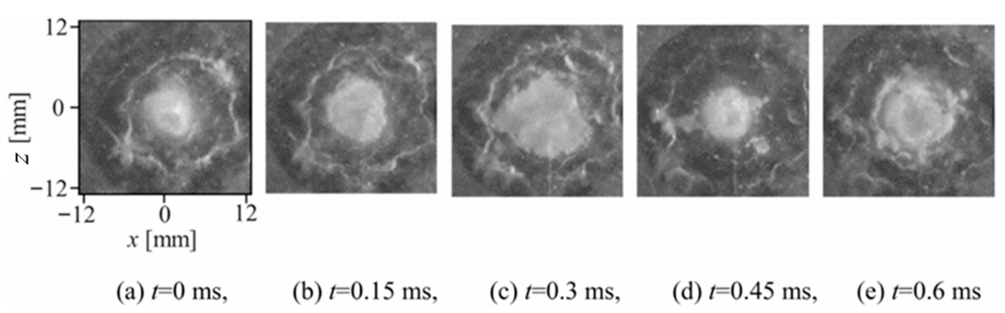 Fluids 11 00014 g011