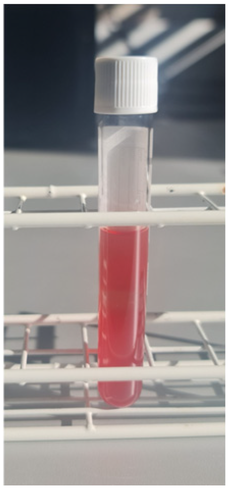 Fluids 11 00038 g001 Fluids 11 00038 g001