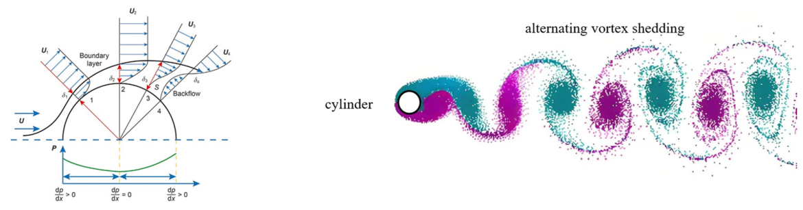 Fluids 11 00159 g003