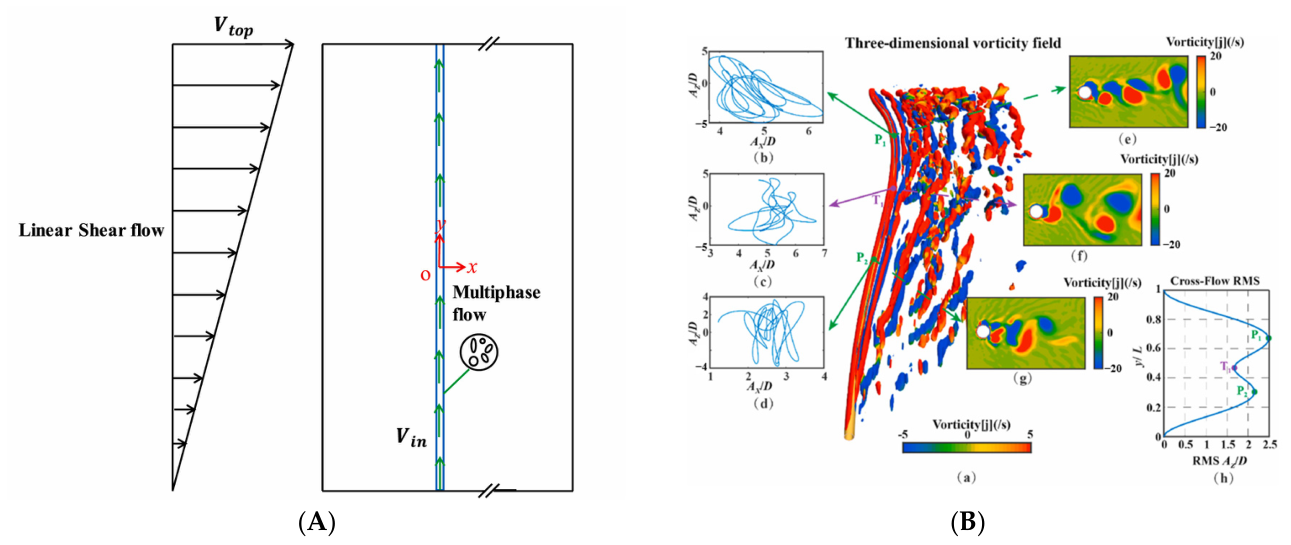 Fluids 11 00159 g012