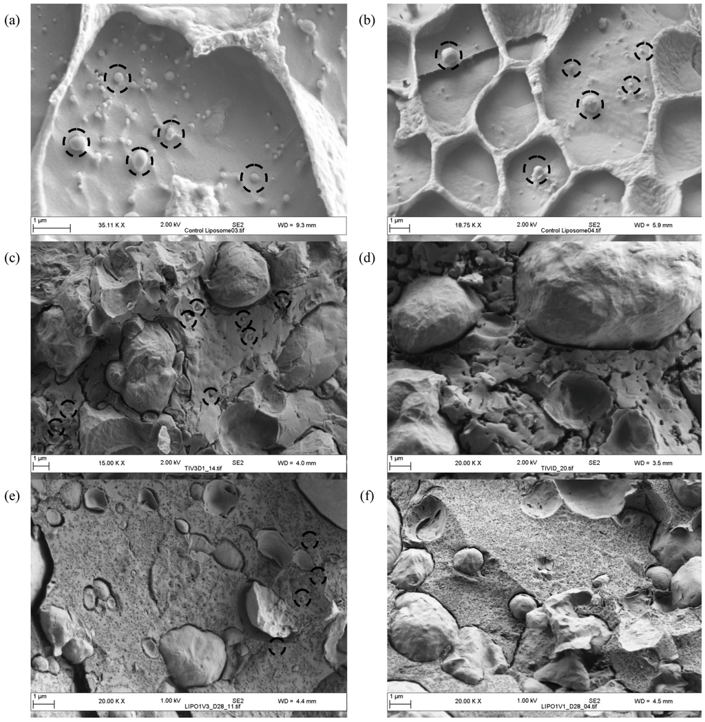 Foods 02 00100 g005 1024