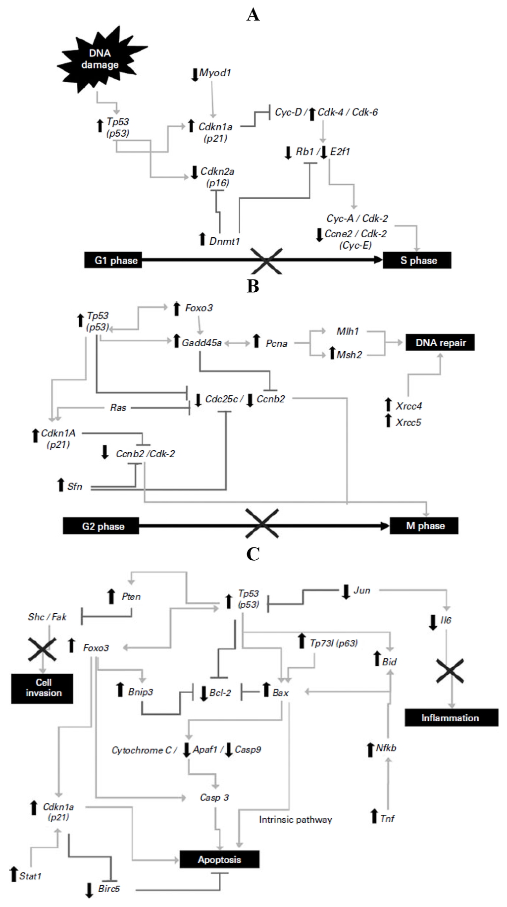 Foods 02 00374 g001 1024