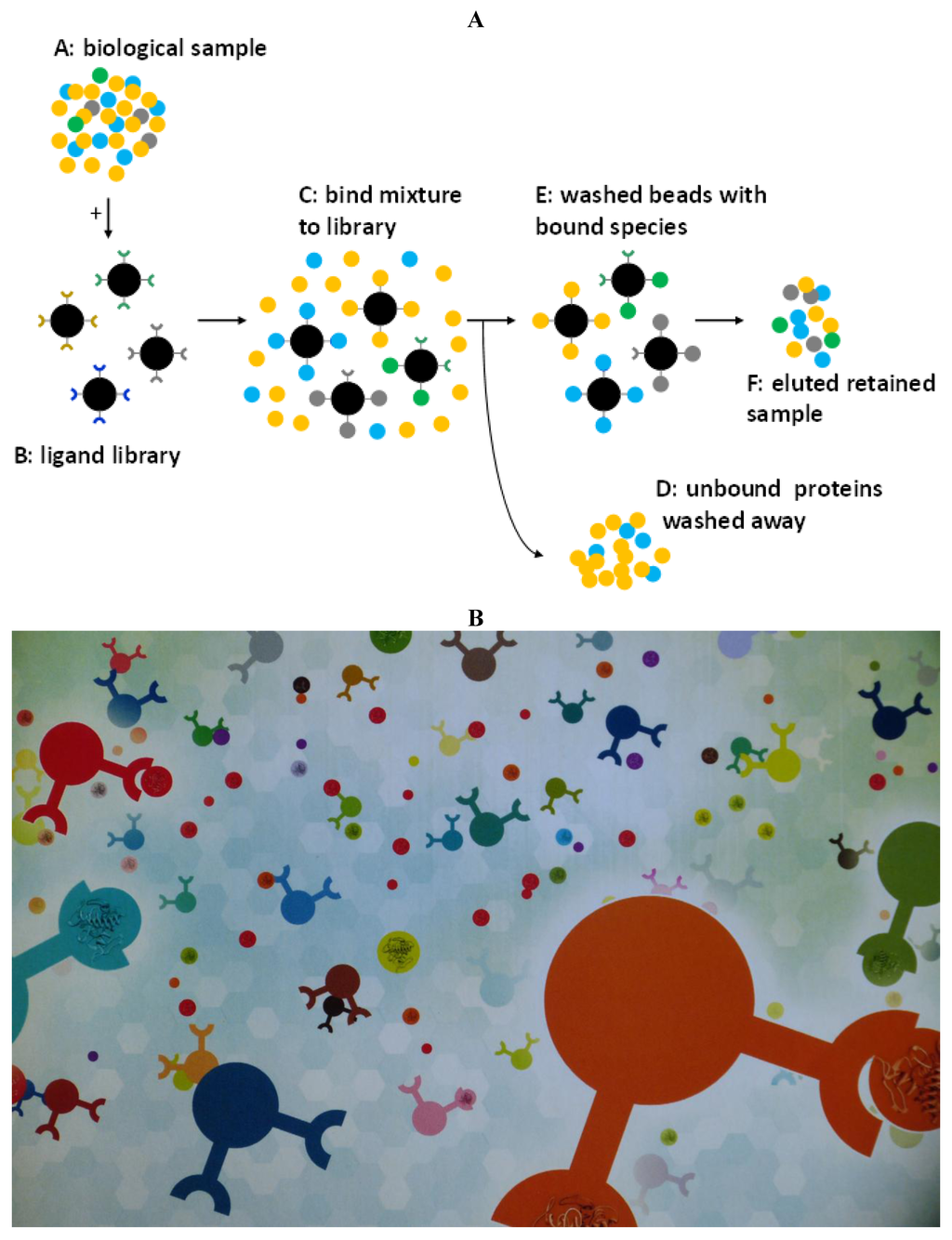 Foods 03 00217 g001 1024