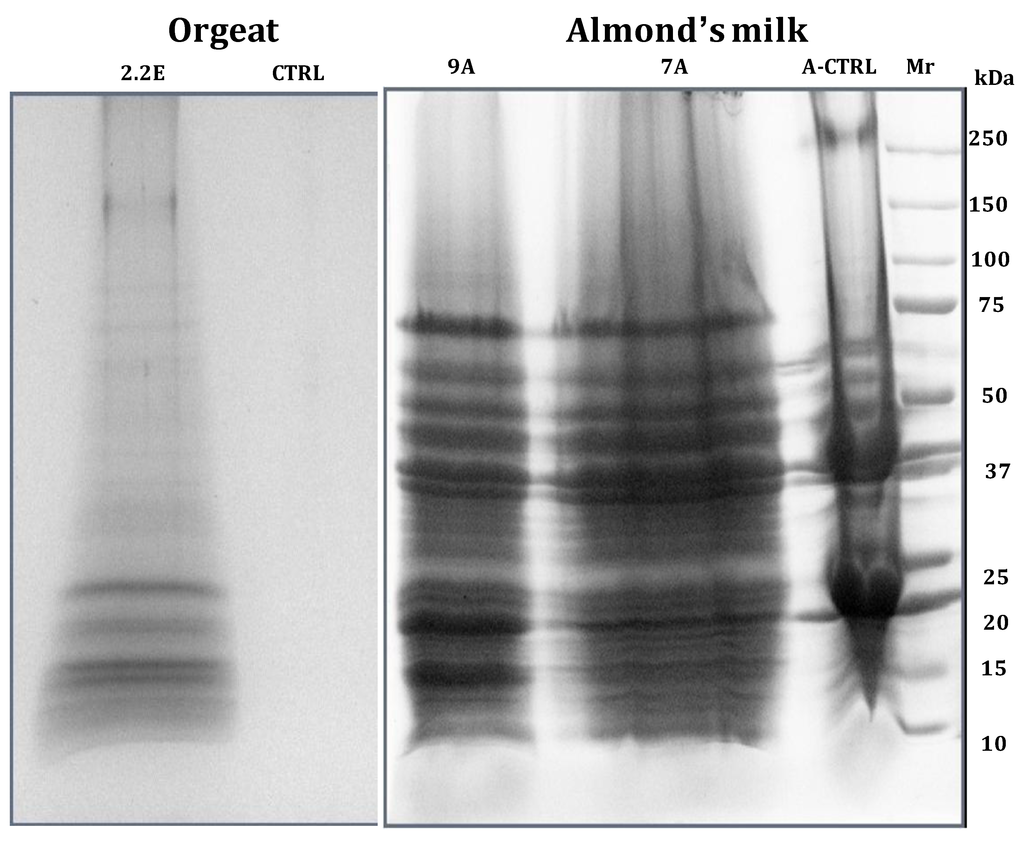 Foods 03 00217 g003 1024