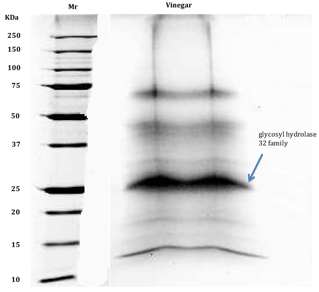 Foods 03 00217 g004 1024