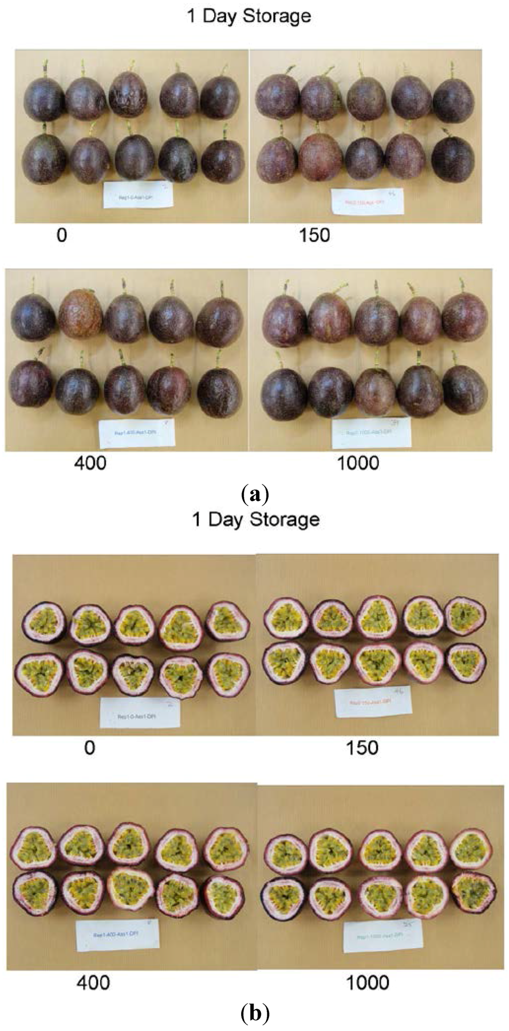 Foods 04 00376 g001 1024