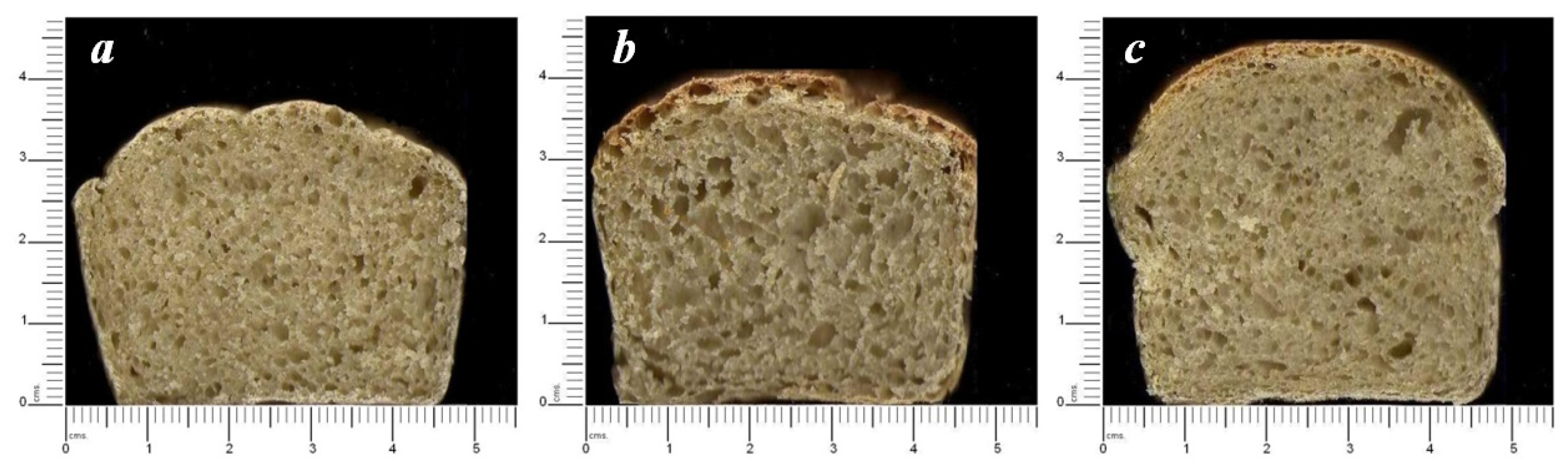 Foods 06 00001 g003
