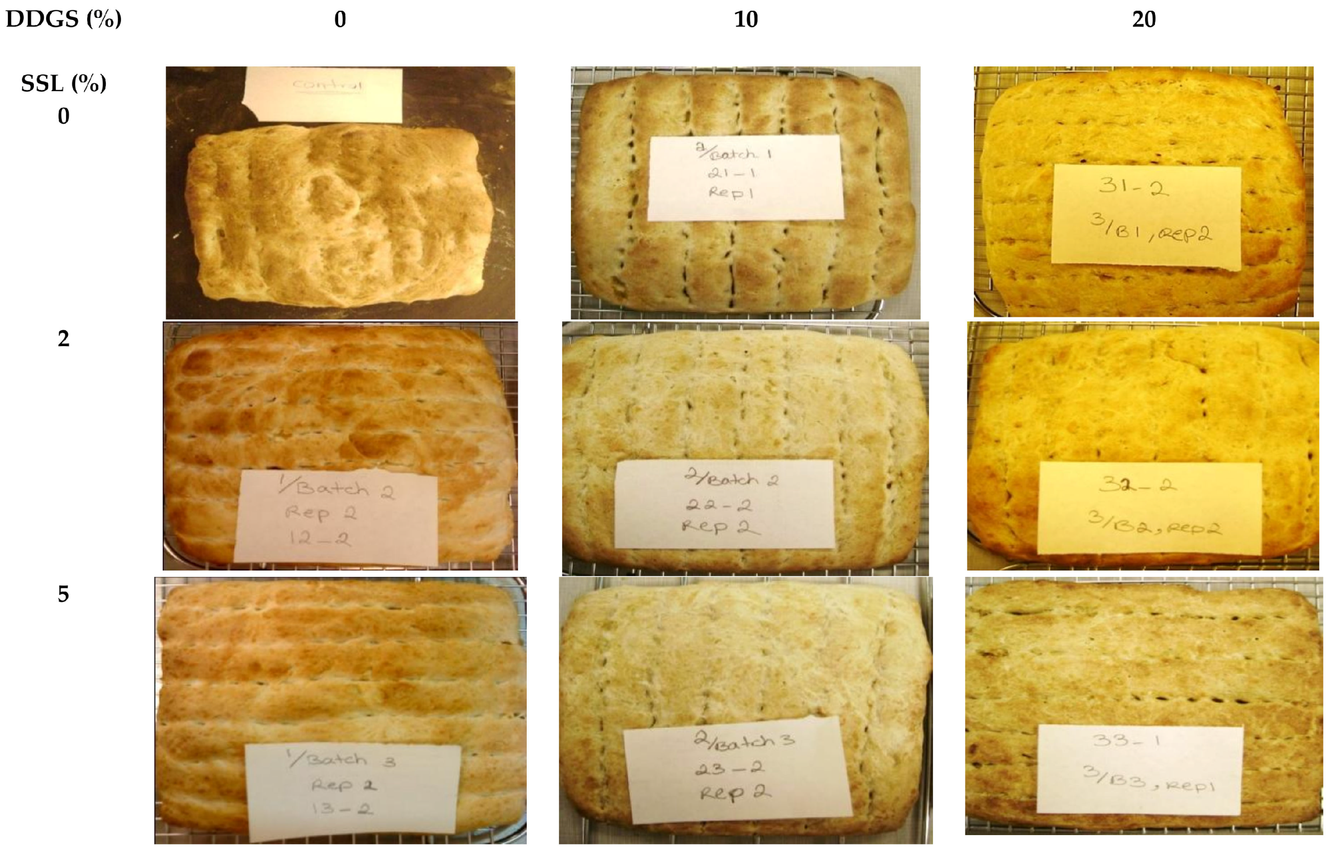 Foods 07 00031 g001 Foods 07 00031 g001