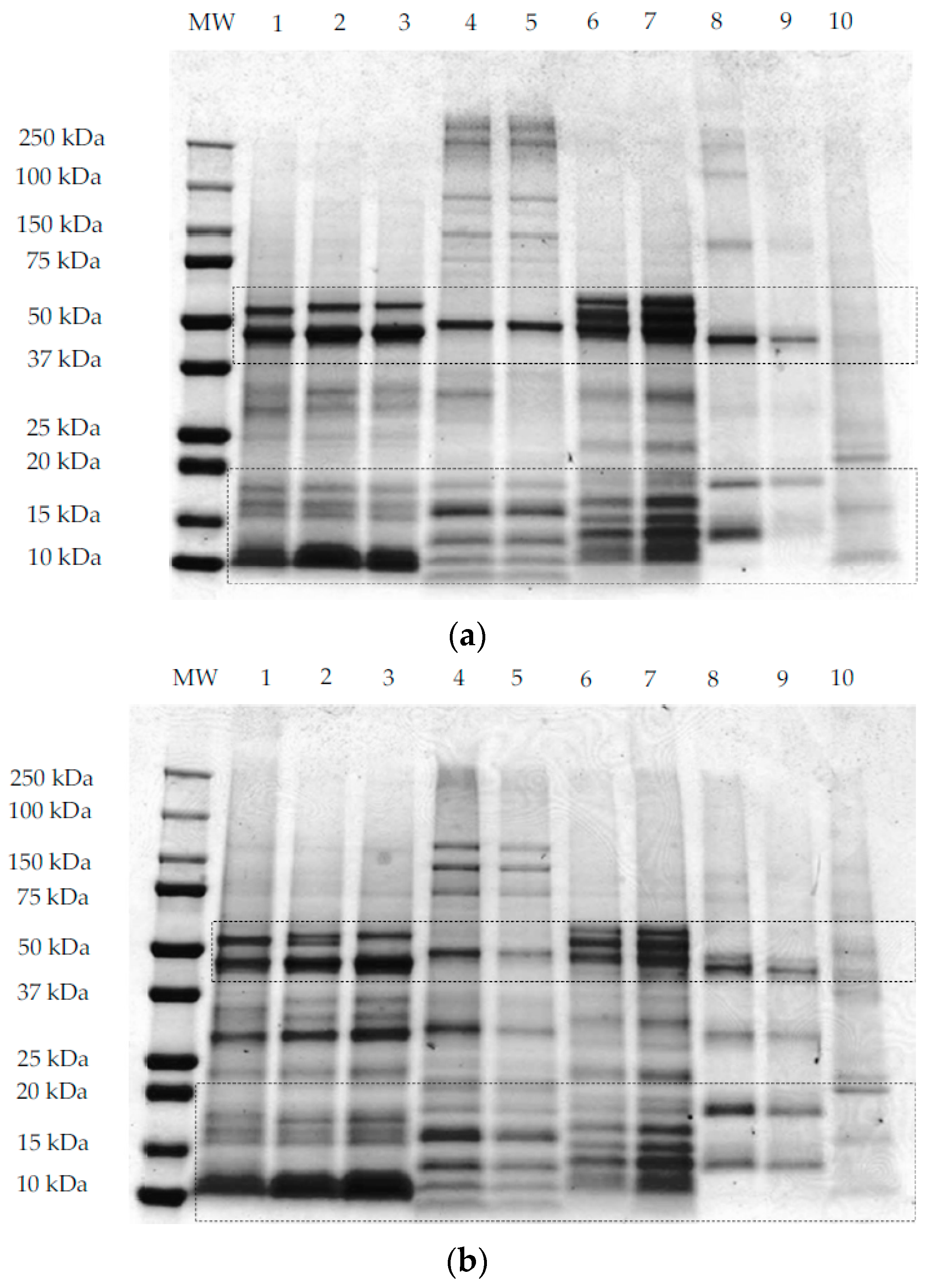 Foods 07 00073 g003a