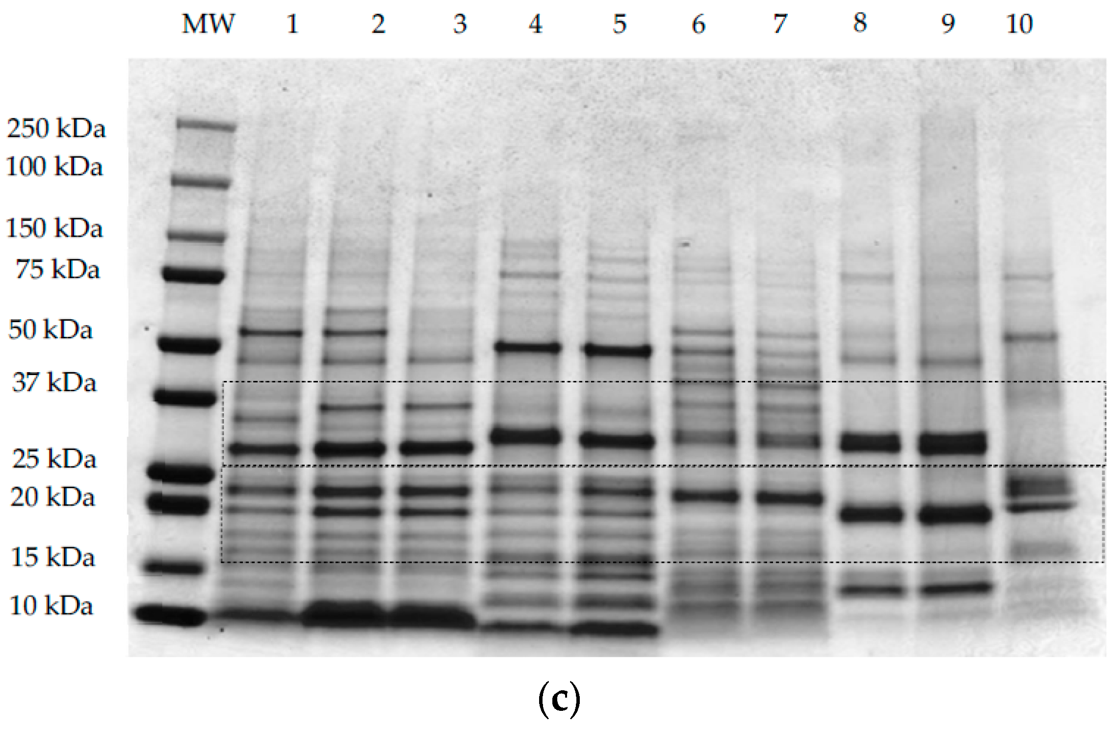 Foods 07 00073 g003b