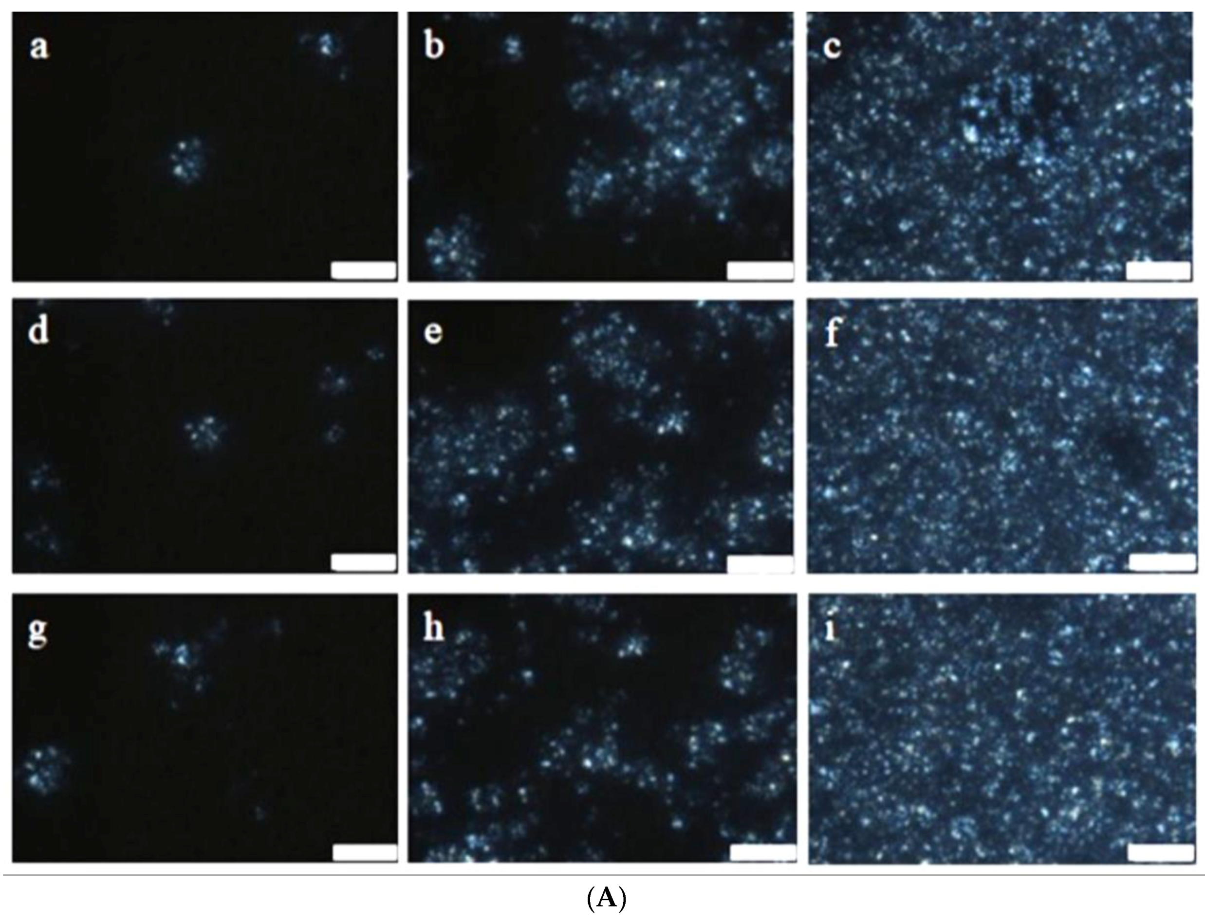 Foods 07 00075 g002a