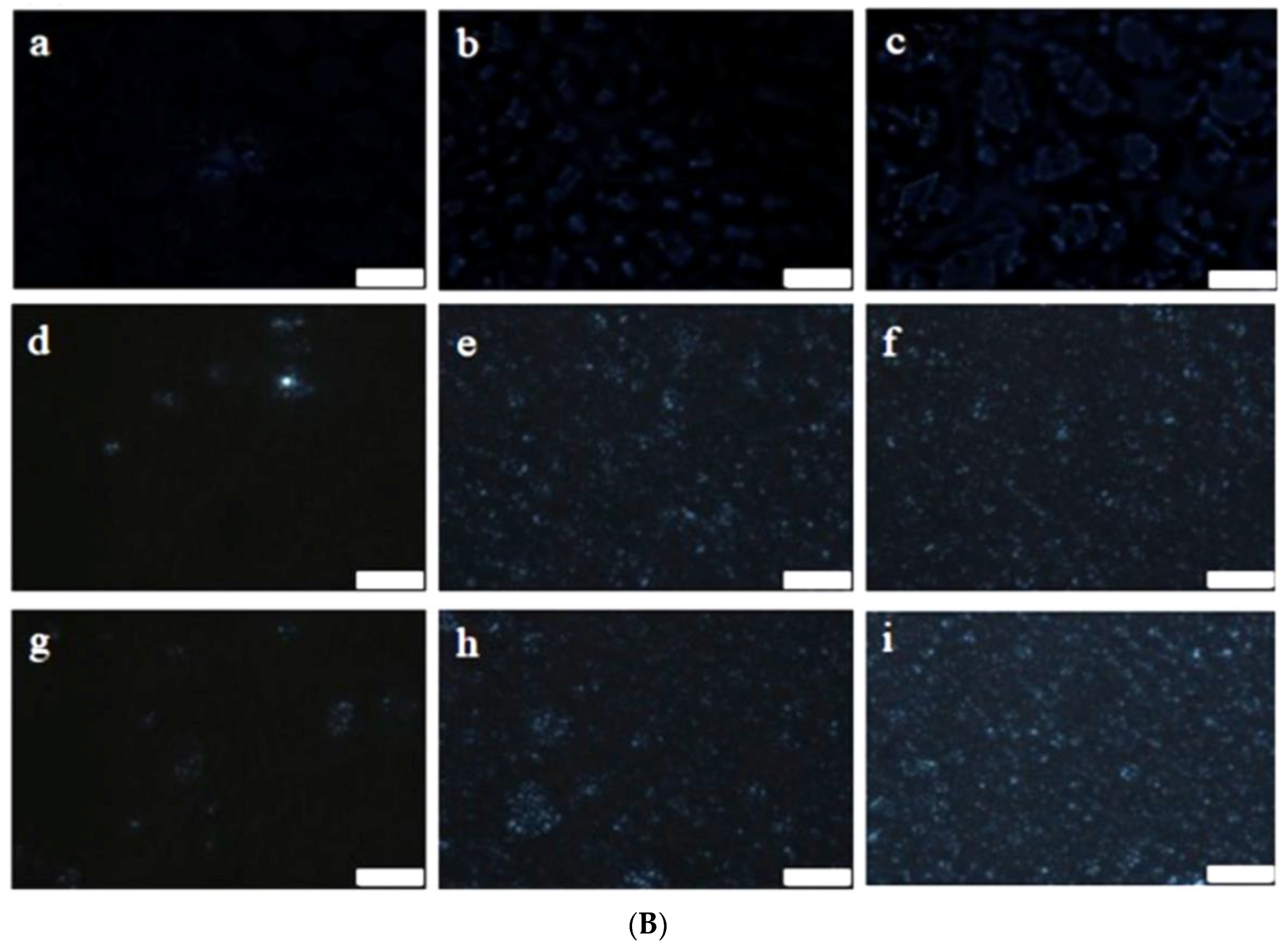 Foods 07 00075 g002b